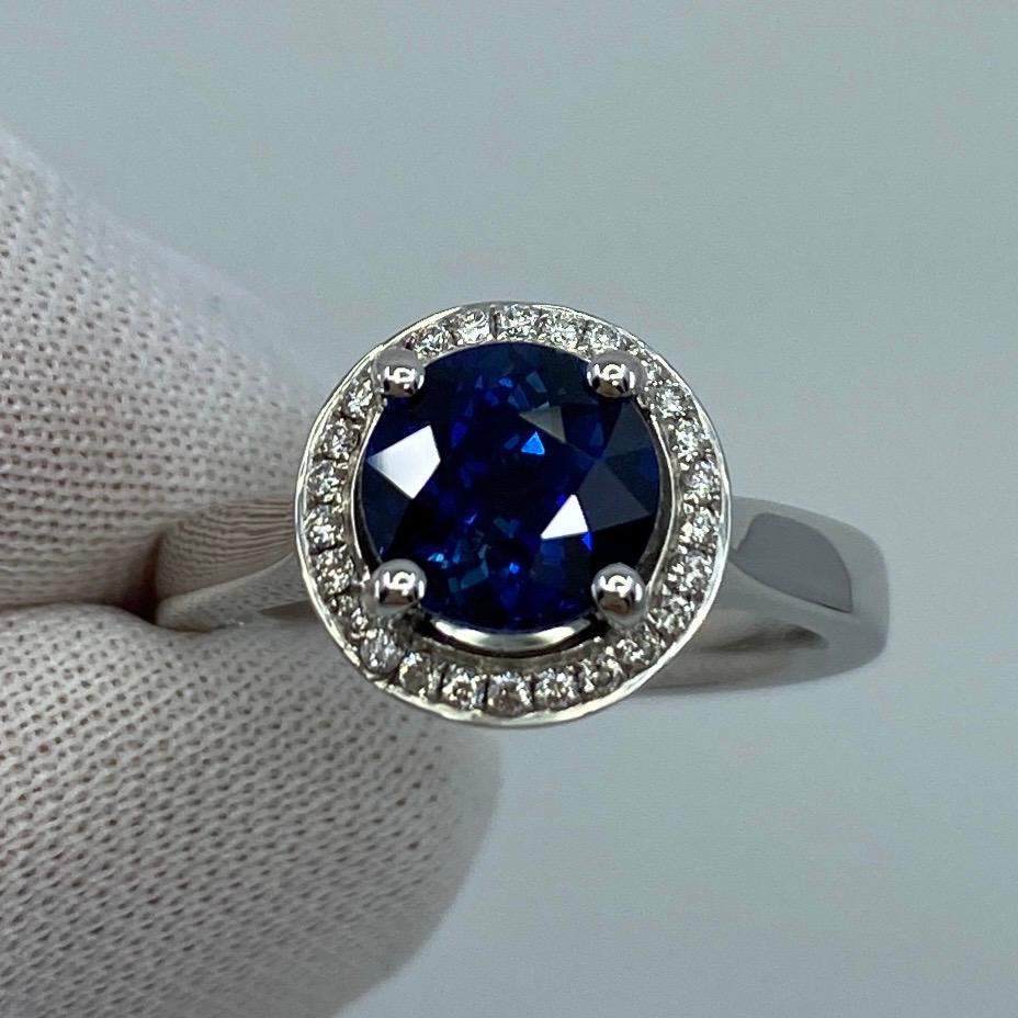 2.50ct Carat Fine Ceylon Blue Sapphire and Diamond 18k White Gold Halo Ring In New Condition For Sale In Birmingham, GB