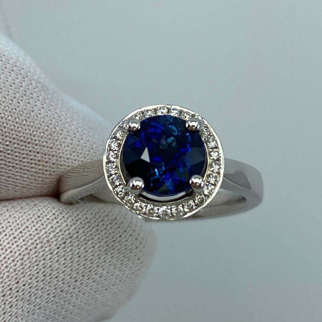 Women's or Men's 2.50ct Carat Fine Ceylon Blue Sapphire and Diamond 18k White Gold Halo Ring For Sale