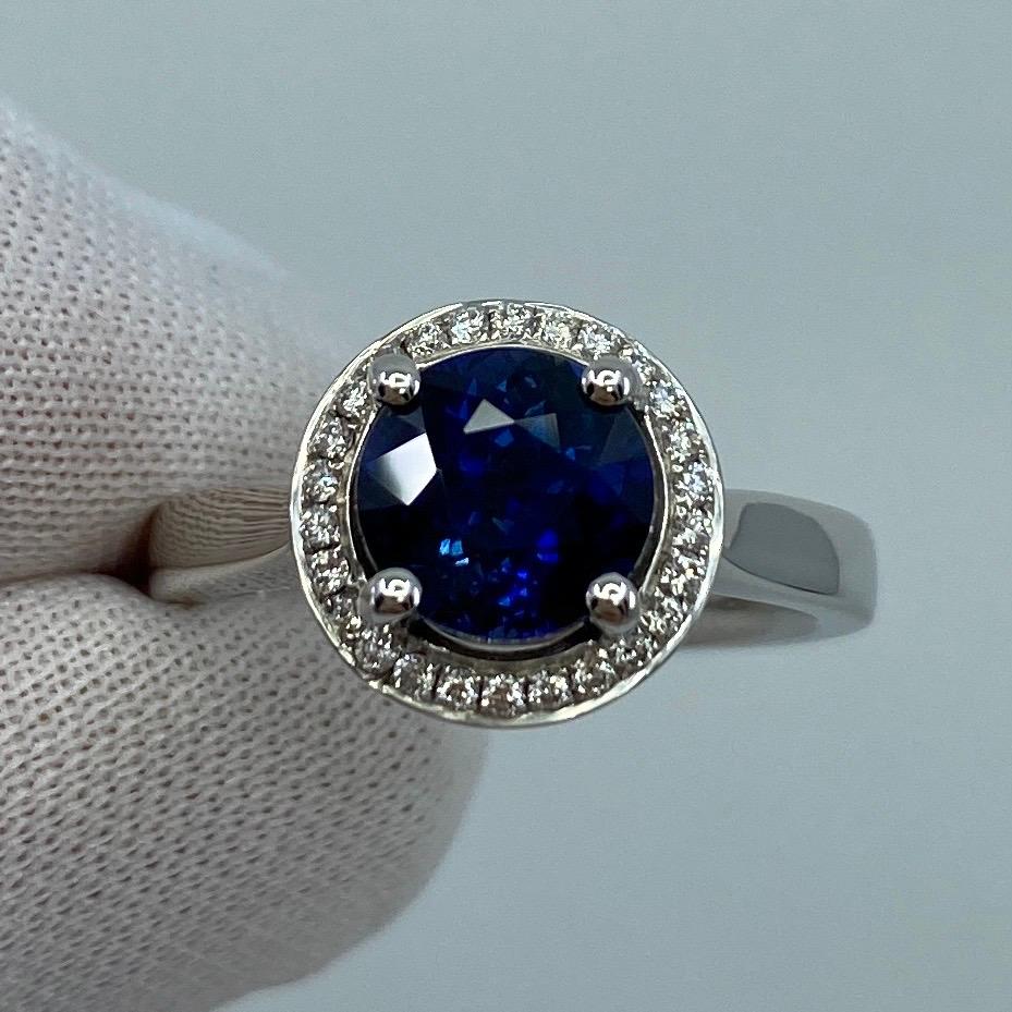 2.50ct Carat Fine Ceylon Blue Sapphire and Diamond 18k White Gold Halo Ring For Sale 1