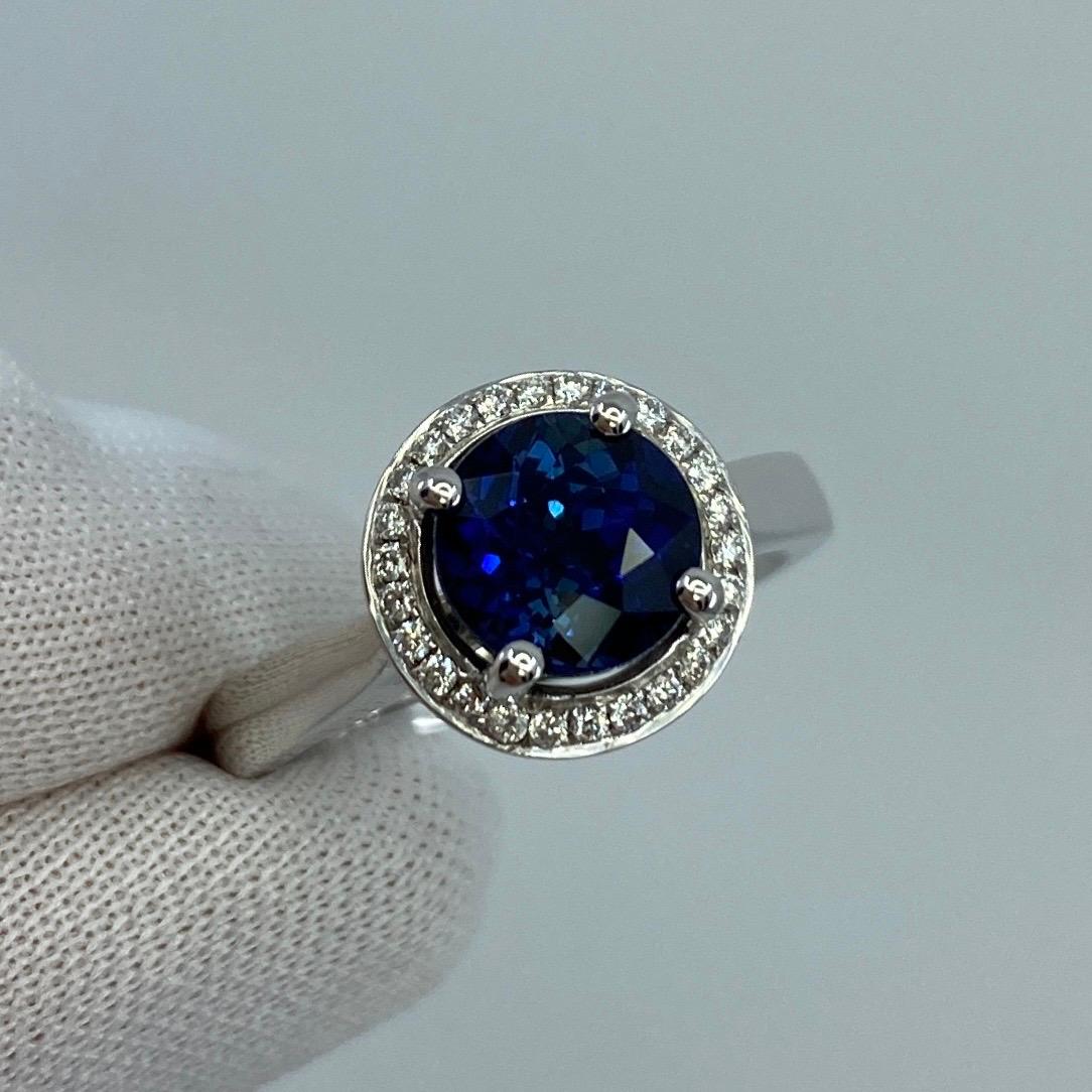 2.50ct Carat Fine Ceylon Blue Sapphire and Diamond 18k White Gold Halo Ring For Sale 3