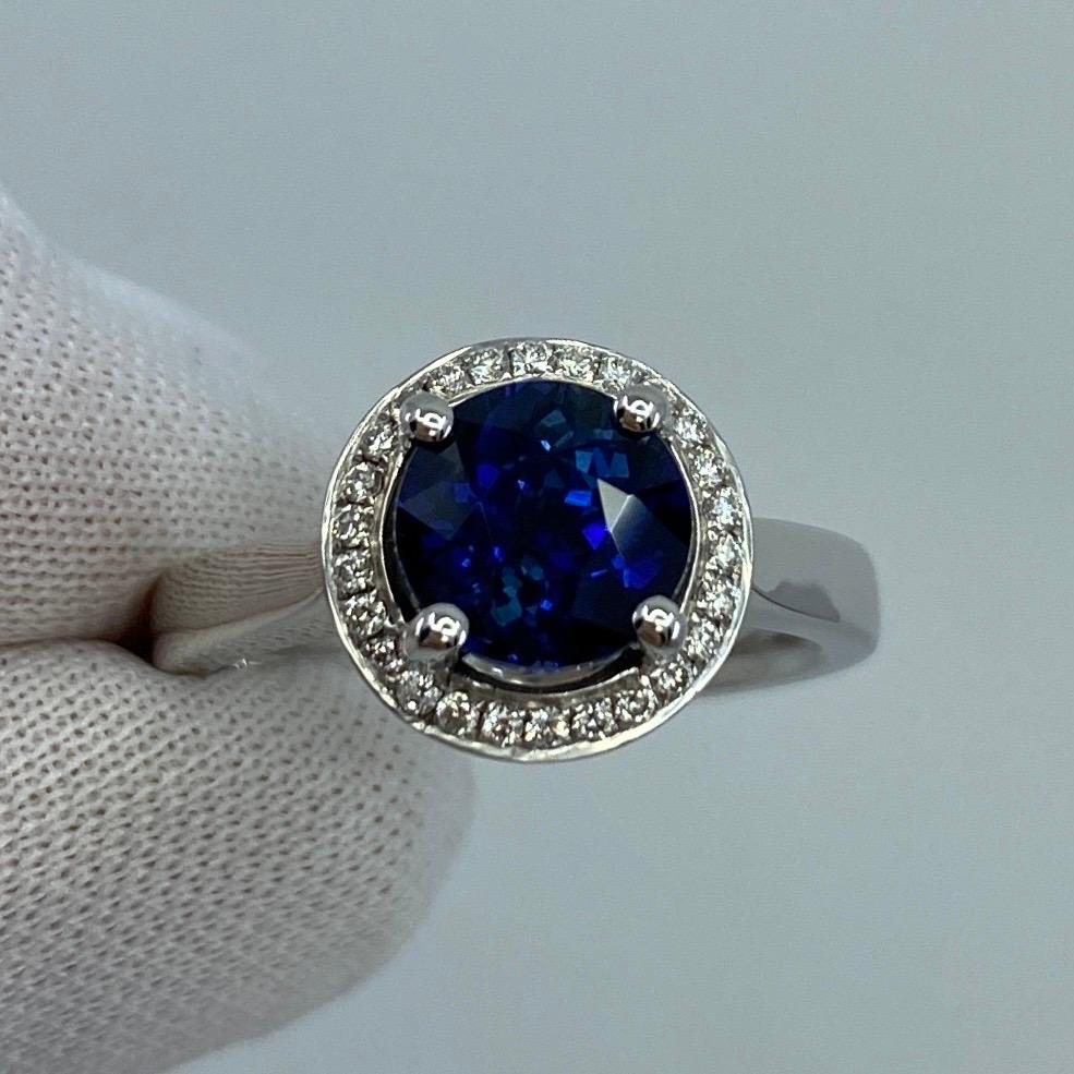 2.50ct Carat Fine Ceylon Blue Sapphire and Diamond 18k White Gold Halo Ring For Sale 4