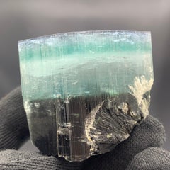 Superbe spécimen de tourmaline tricolore 251,51 grammes provenant de Kunar, Afghanistan