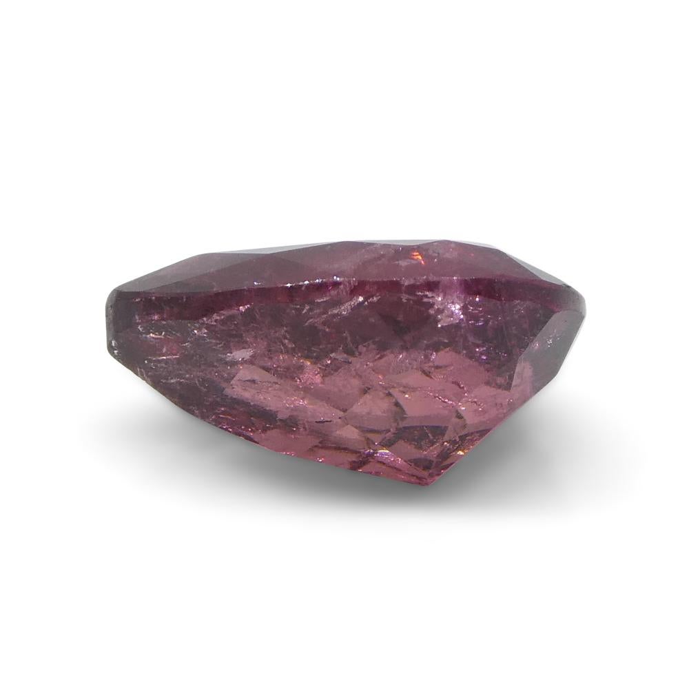 2.51ct Pear Pink Tourmaline from Brazil For Sale 7