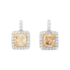 Boucles d'oreilles pendantes avec halo en diamant jaune certifié 2,51ctt 18k