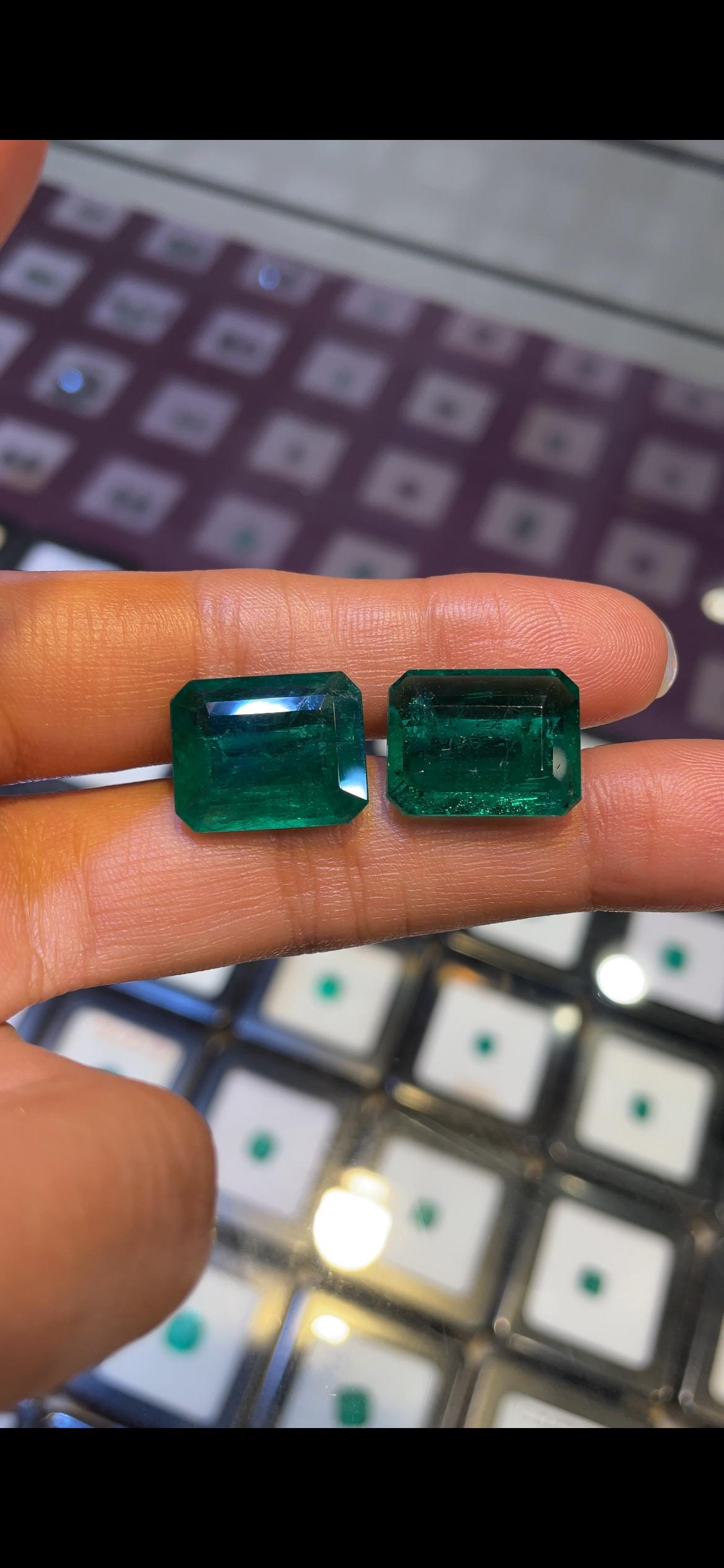 Paire d'émeraudes zambiennes de 25,35 carats, taille octogonale Unisexe en vente
