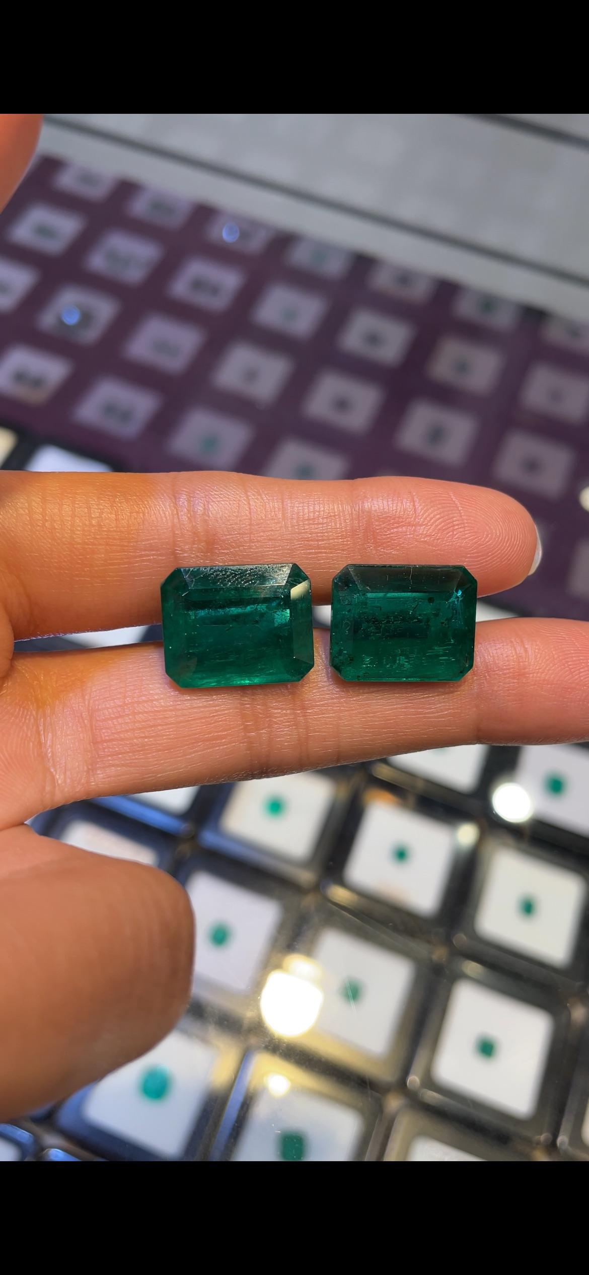 Paire d'émeraudes zambiennes de 25,35 carats, taille octogonale en vente 1
