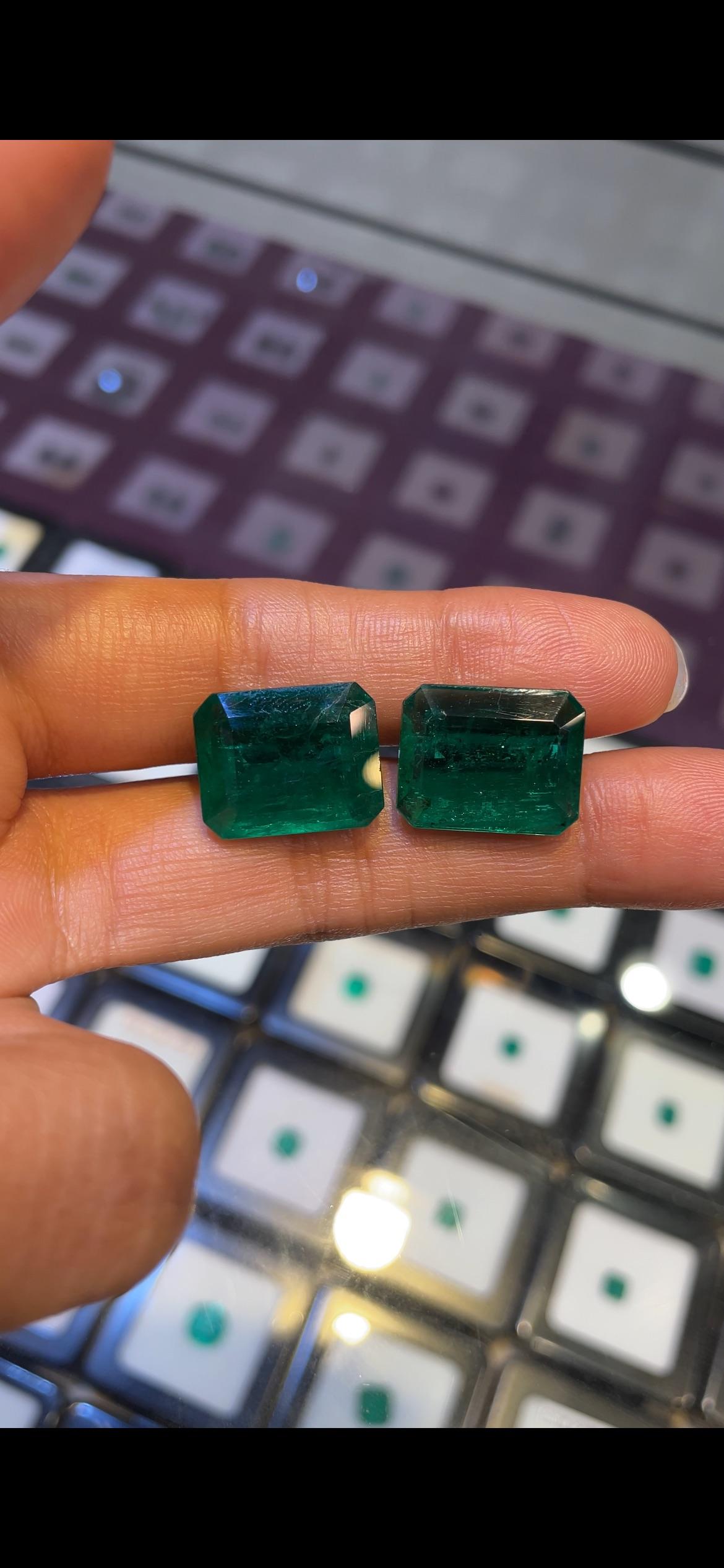 Paire d'émeraudes zambiennes de 25,35 carats, taille octogonale en vente 2