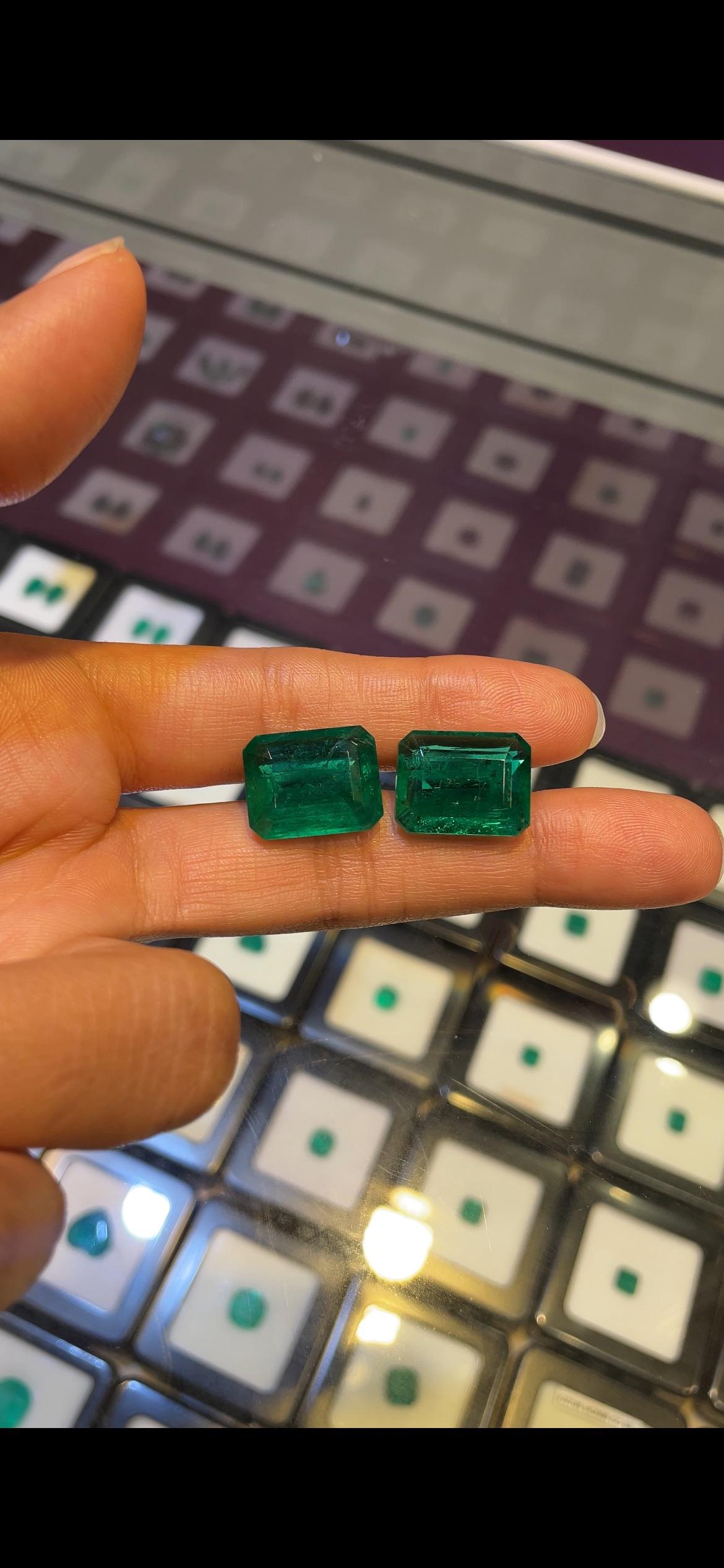 Paire d'émeraudes zambiennes de 25,35 carats, taille octogonale en vente 3