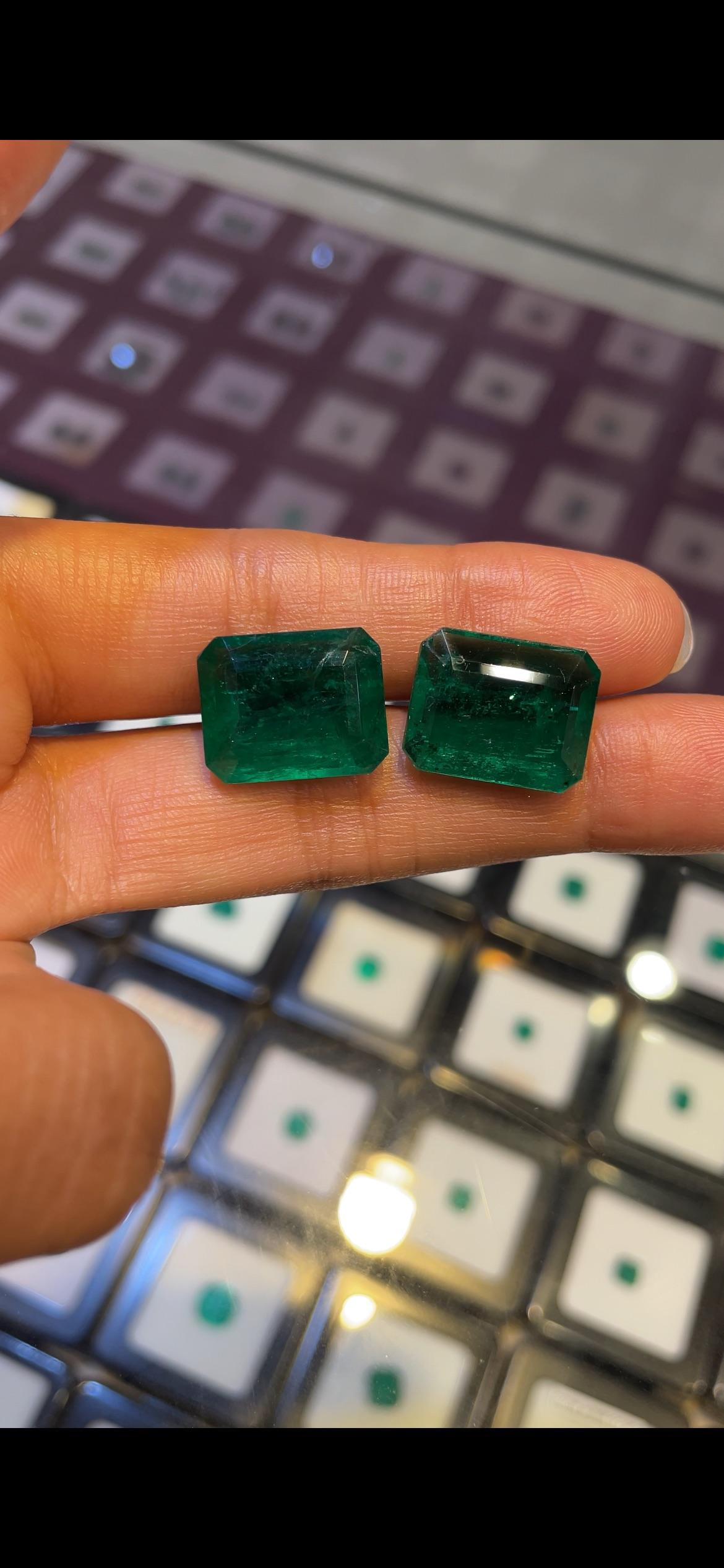 Paire d'émeraudes zambiennes de 25,35 carats, taille octogonale en vente 4