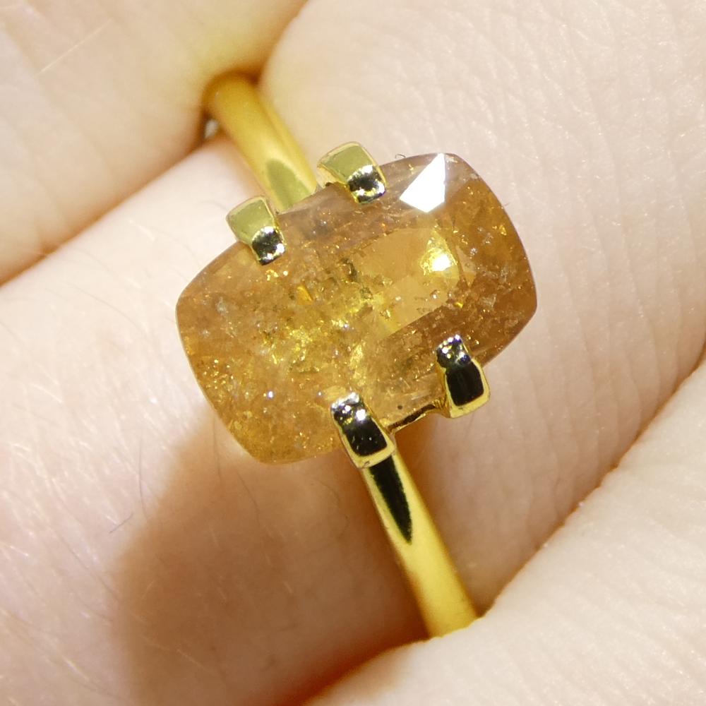 Description:

Gem Type: Sapphire 
Number of Stones: 1
Weight: 2.53 cts
Measurements: 9.24 x 6.24 x 4.06 mm
Shape: Cushion
Cutting Style Crown: Brilliant Cut
Cutting Style Pavilion: Step Cut 
Transparency: Transparent
Clarity: Moderately Included: