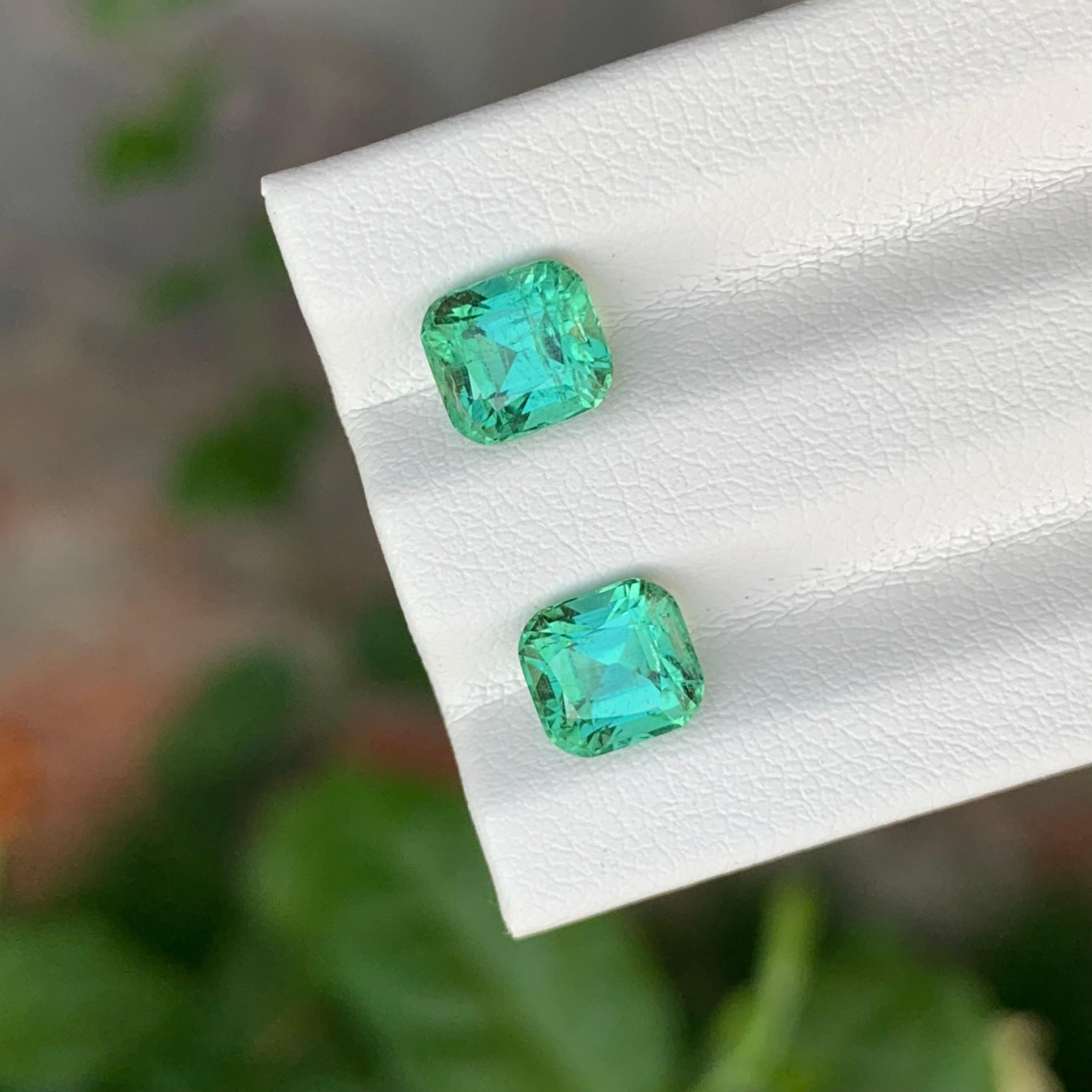 Paire de tourmalines naturelles non serties de 2,55 carats de forme coussin pour boucles d'oreilles en vente 5