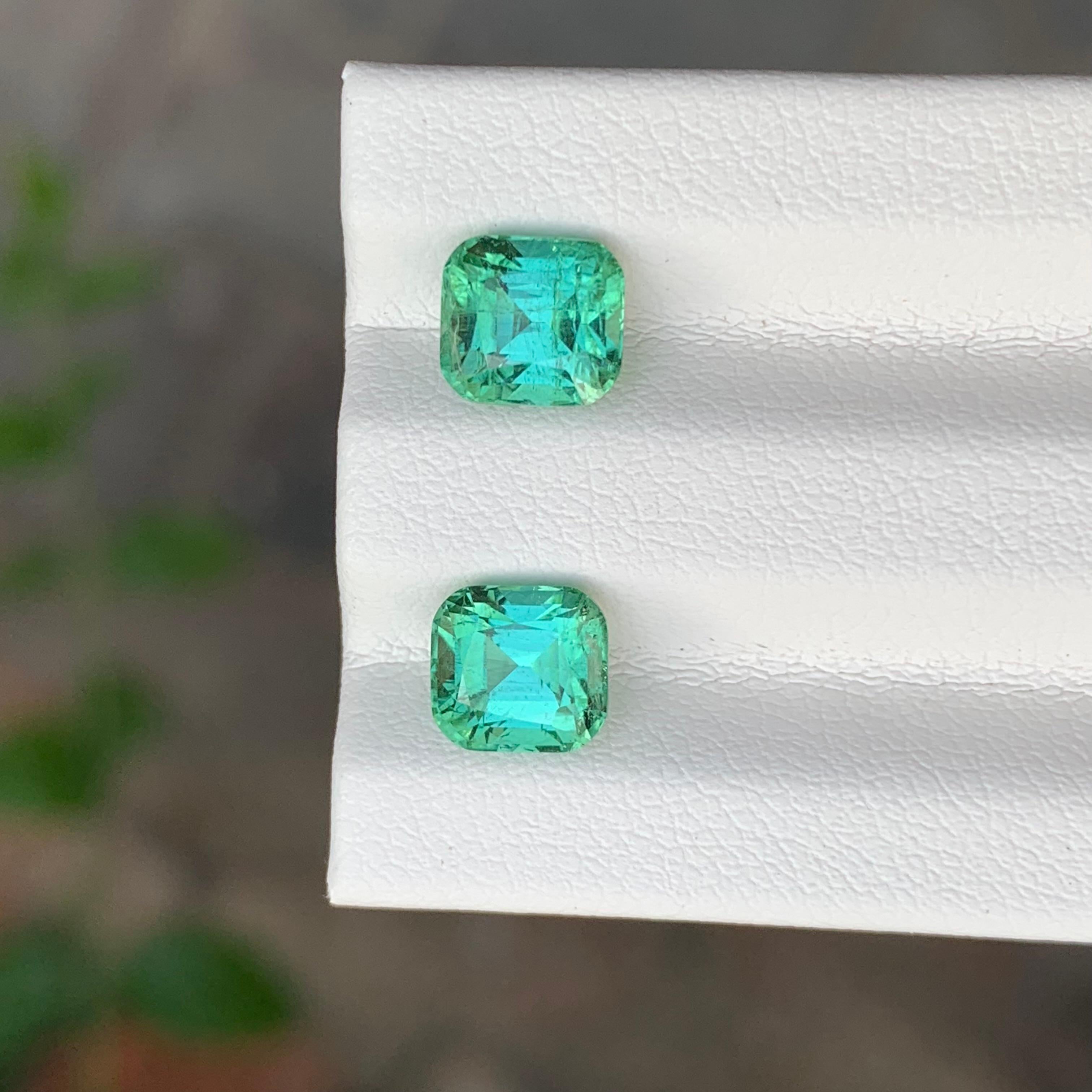 Paire de tourmalines naturelles non serties de 2,55 carats de forme coussin pour boucles d'oreilles en vente 1