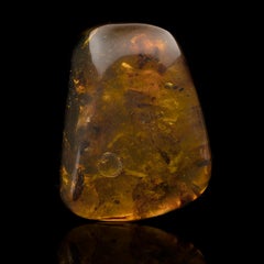 Burmese Amber With Organic Matter
