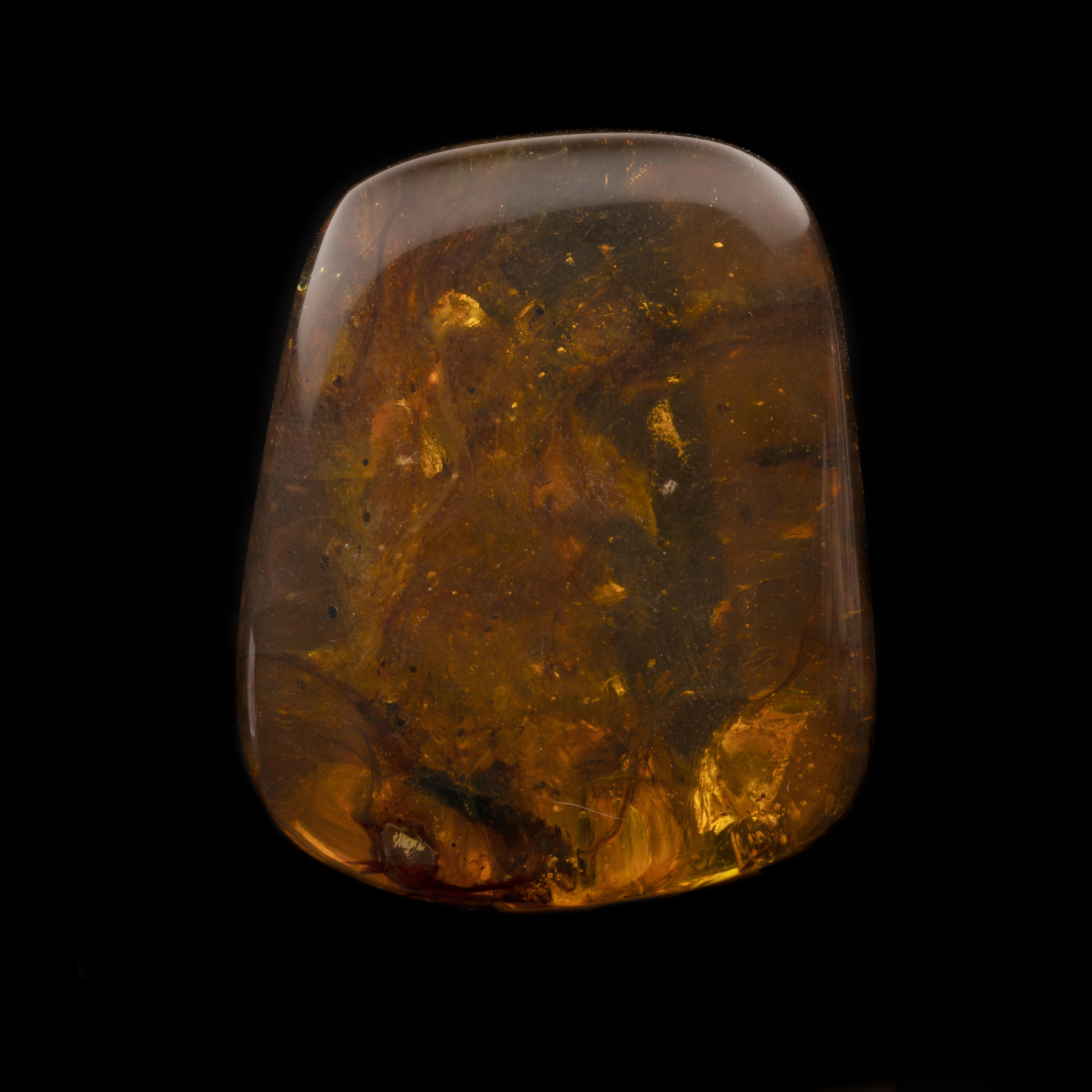 Polished 25.54 Gram 99 Million Year Old Burmese Amber Medley For Sale