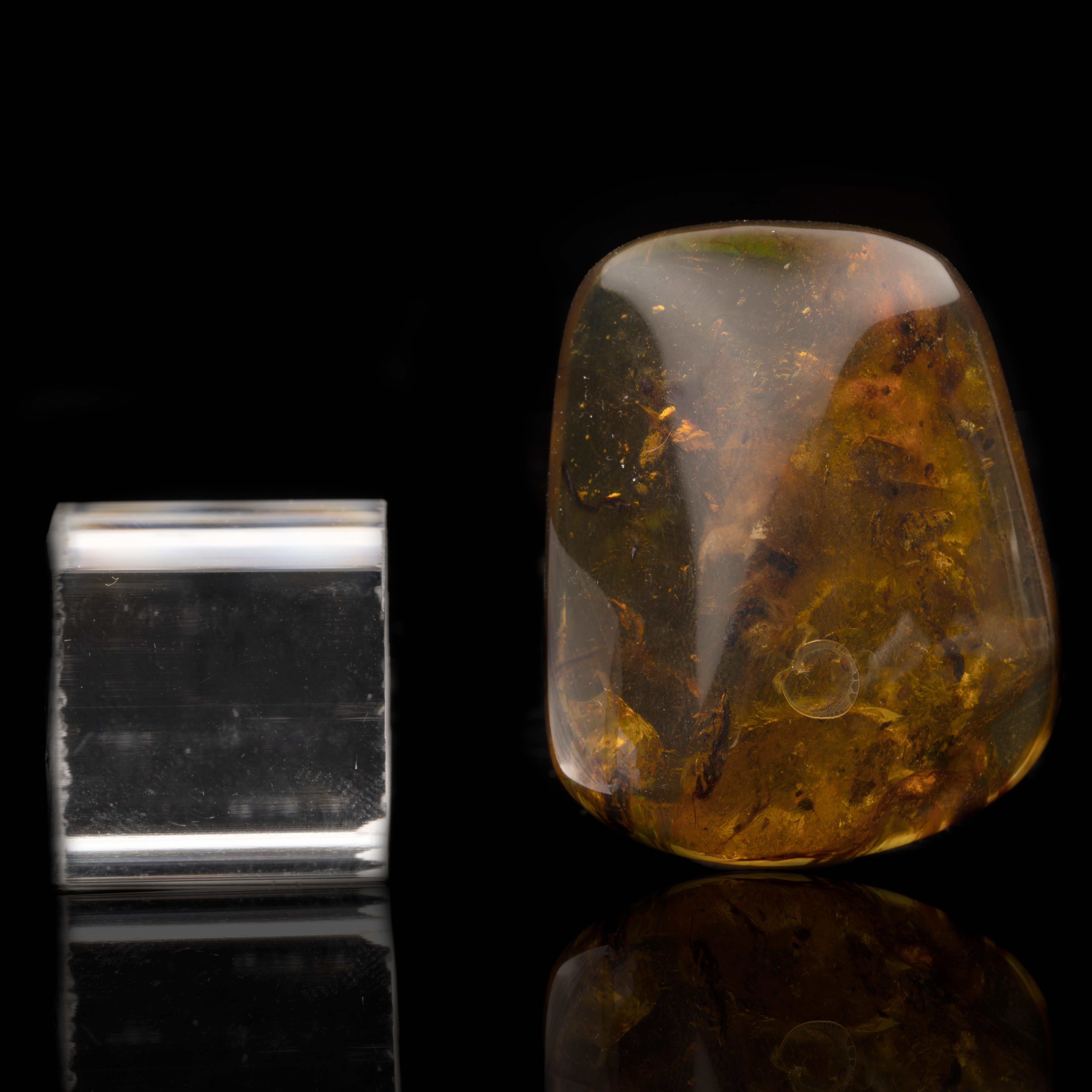 25.54 Gram 99 Million Year Old Burmese Amber Medley In Excellent Condition For Sale In New York, NY