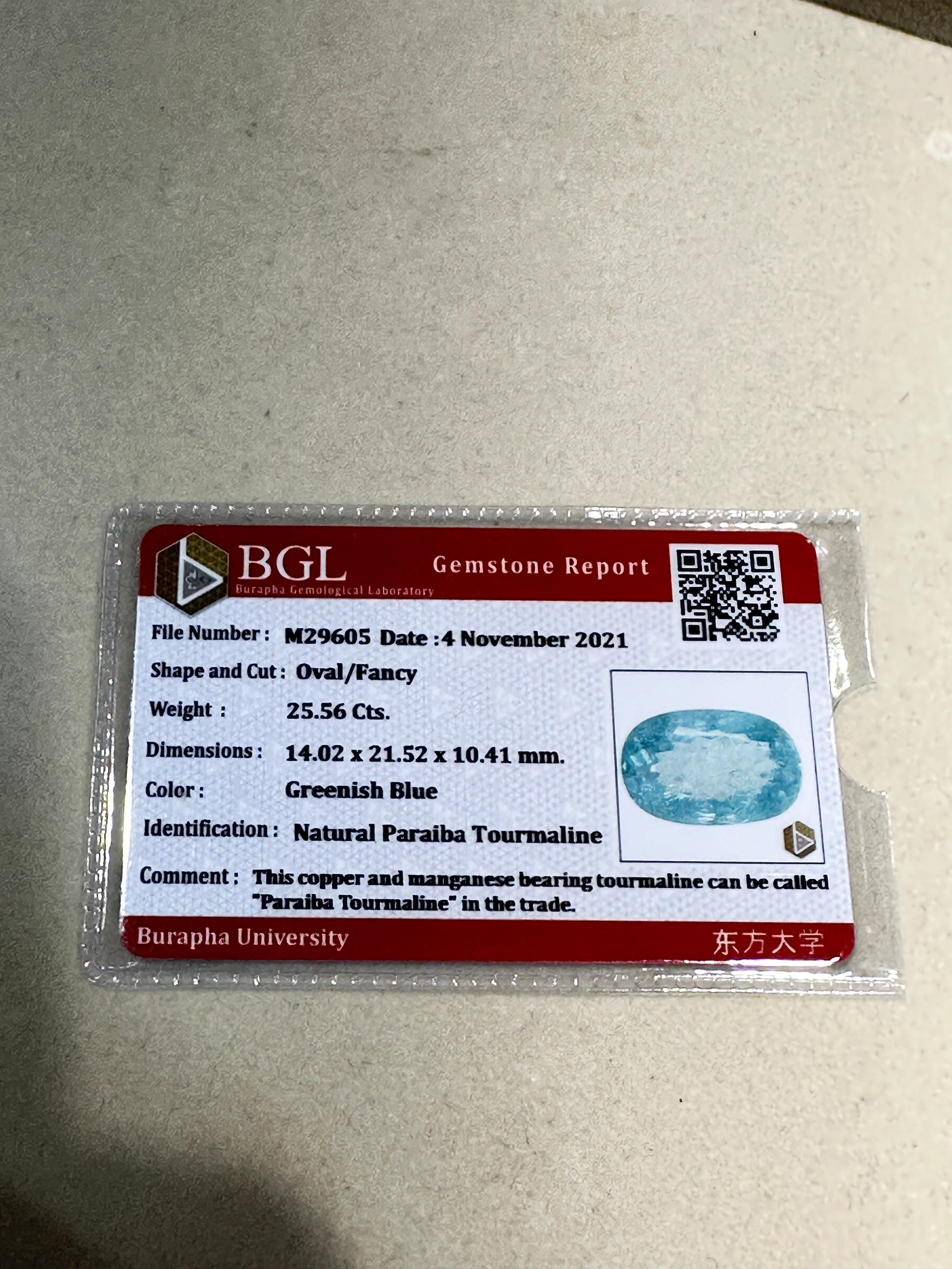 25.55 Carats Blue Paraiba Tourmaline Oval Cut Stone Fine Jewelry Natural Gem For Sale 3