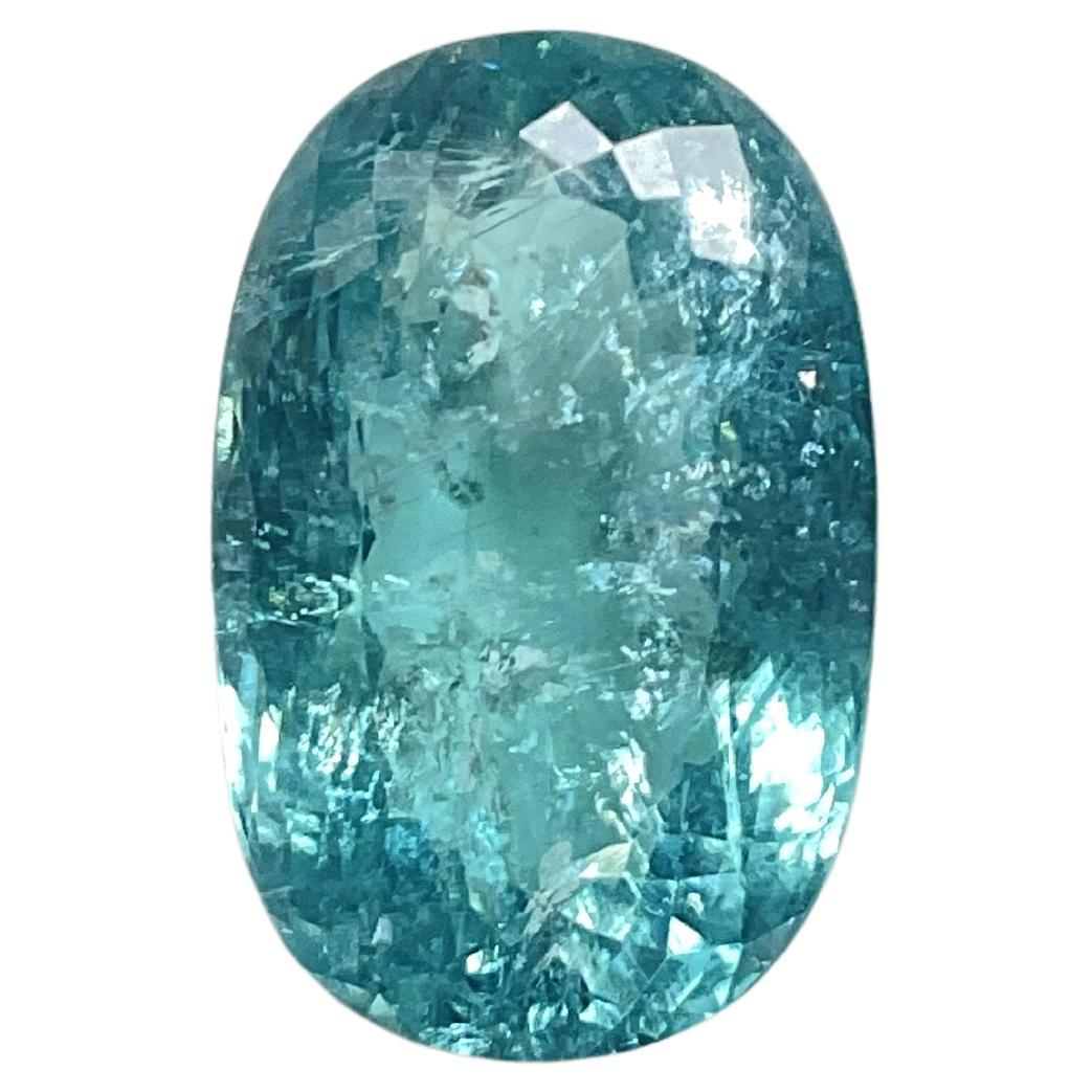 25.55 Carats Blue Paraiba Tourmaline Oval Cut Stone Fine Jewelry Natural Gem