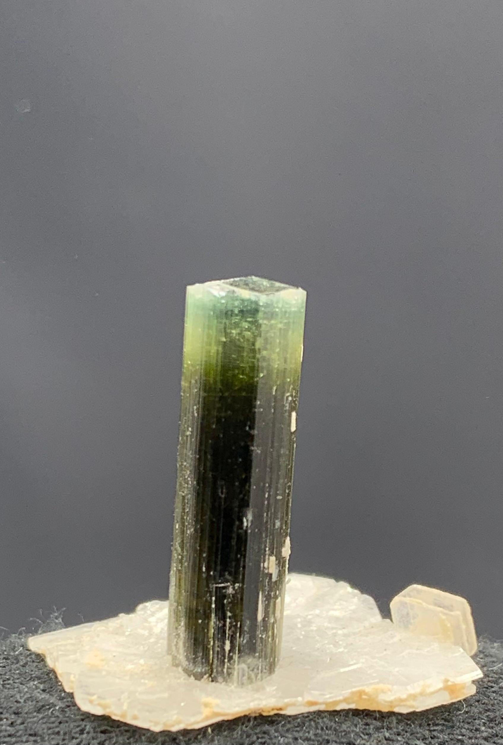 2.56 Gram Elegant Tourmaline Crystal Attached With Albite From Pakistan 

Weight: 2.56 Gram
Dimension: 2.2 x 2.2 x 1.6 Cm
Origin: Stak Nala, Skardu district, Pakistan 

Tourmaline is a crystalline silicate mineral group in which boron is compounded