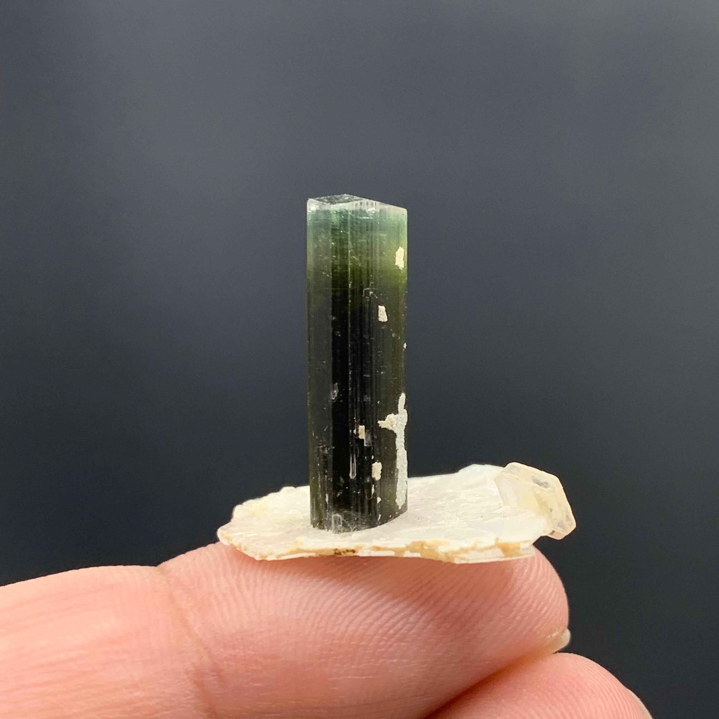 Pakistanais 2.56 Grammes Elegant Tourmaline Crystal Attached With Albite From Pakistan  en vente