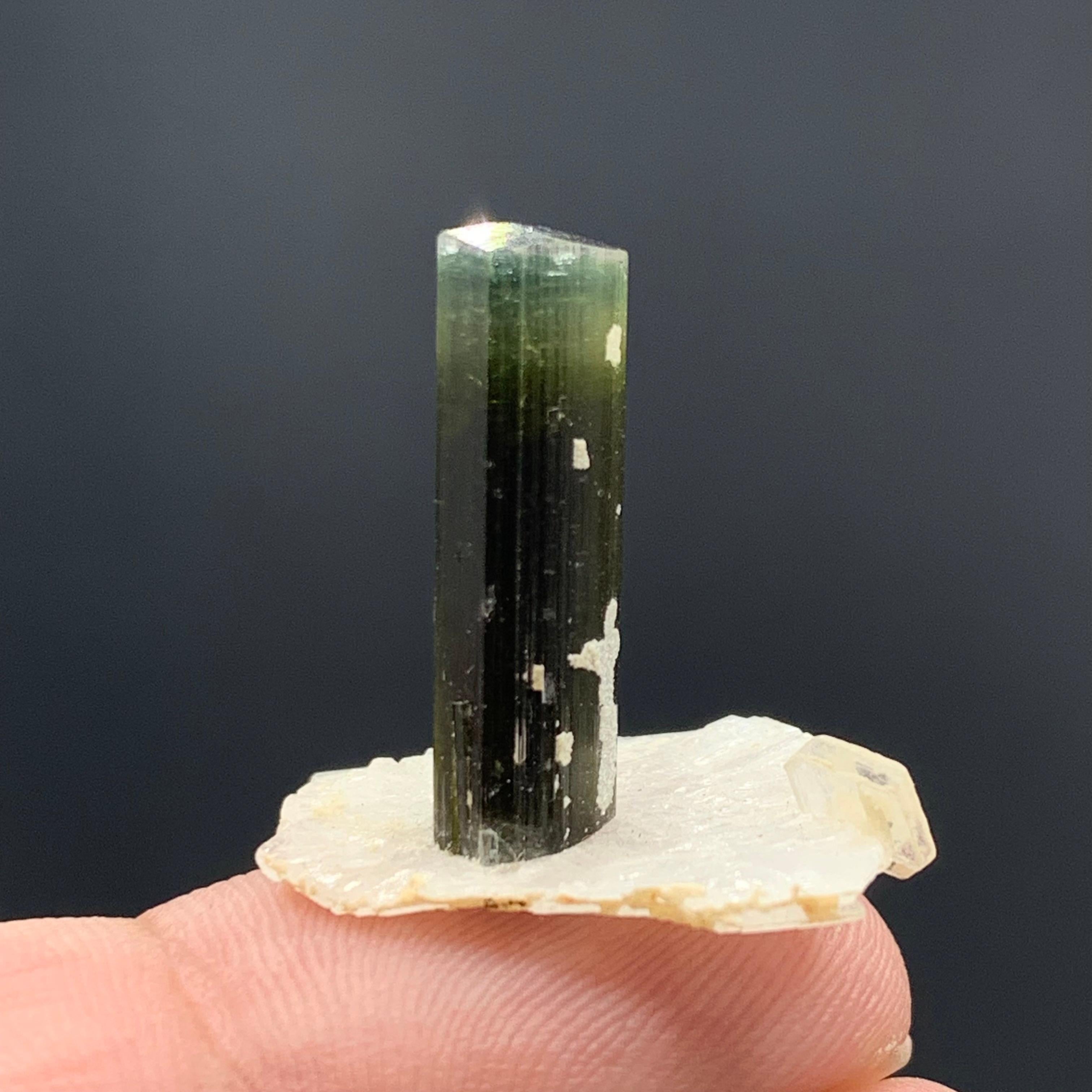 Autre 2.56 Grammes Elegant Tourmaline Crystal Attached With Albite From Pakistan  en vente