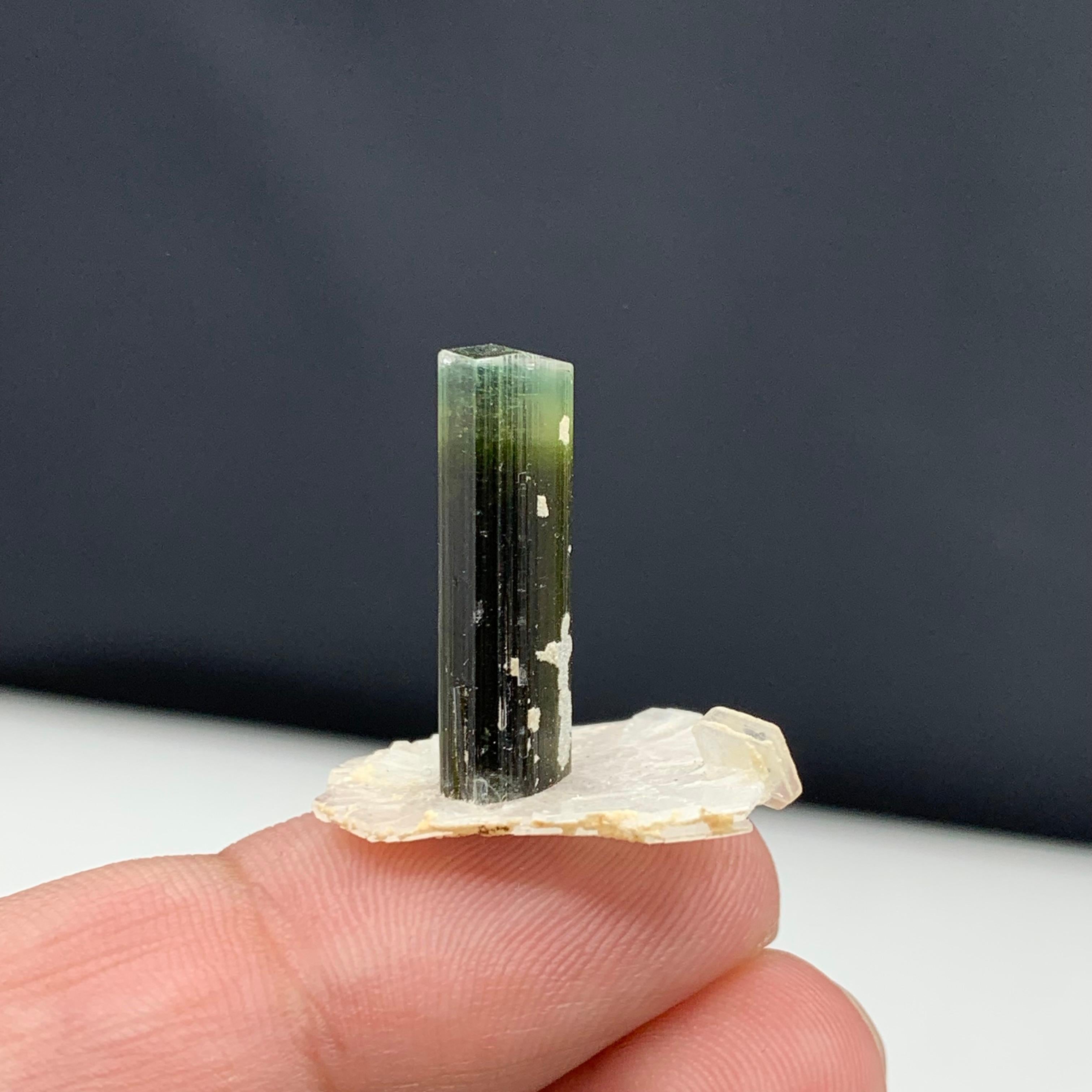 2.56 Gram Elegant Tourmaline Crystal Attached With Albite From Pakistan  In Good Condition For Sale In Peshawar, PK