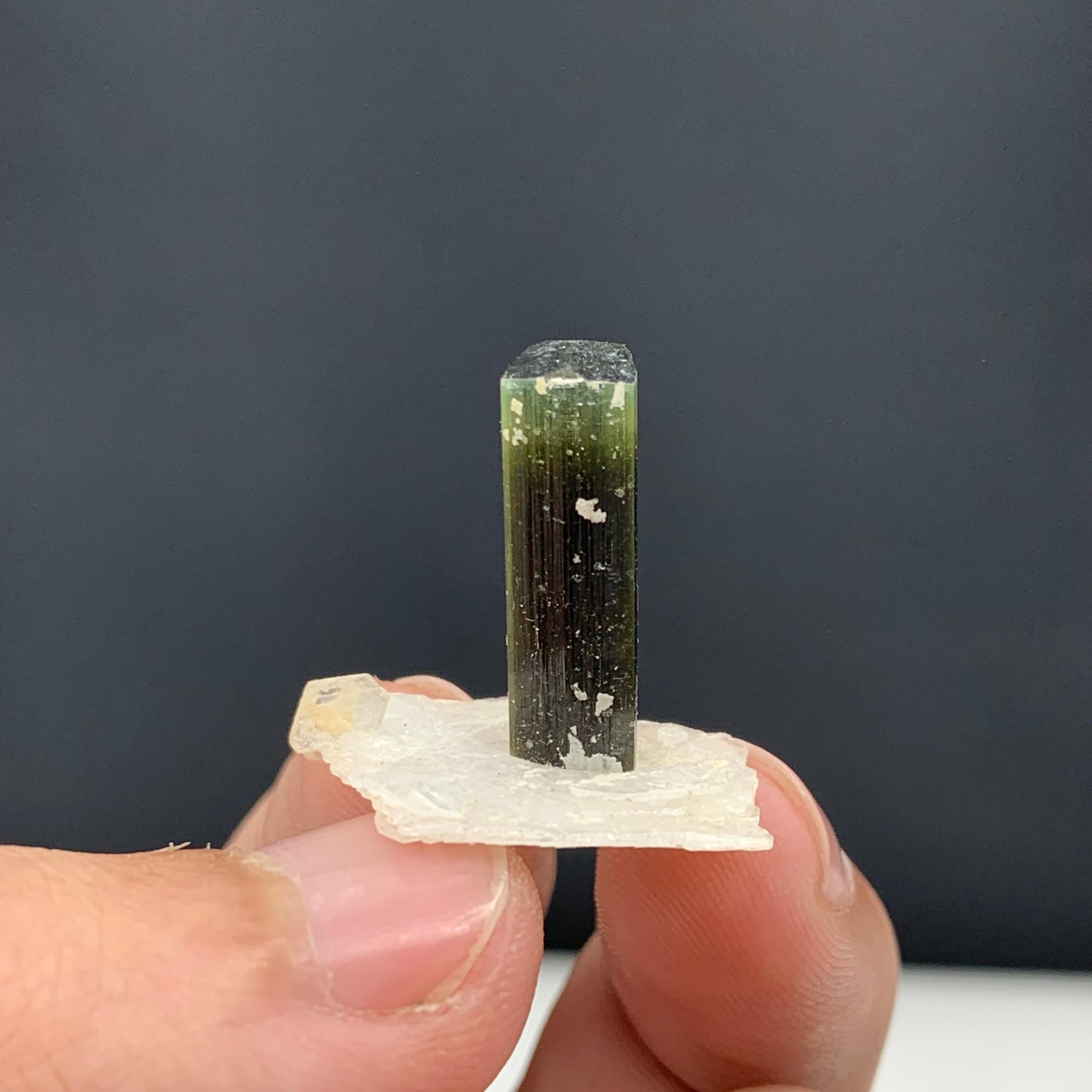 18th Century and Earlier 2.56 Gram Elegant Tourmaline Crystal Attached With Albite From Pakistan  For Sale