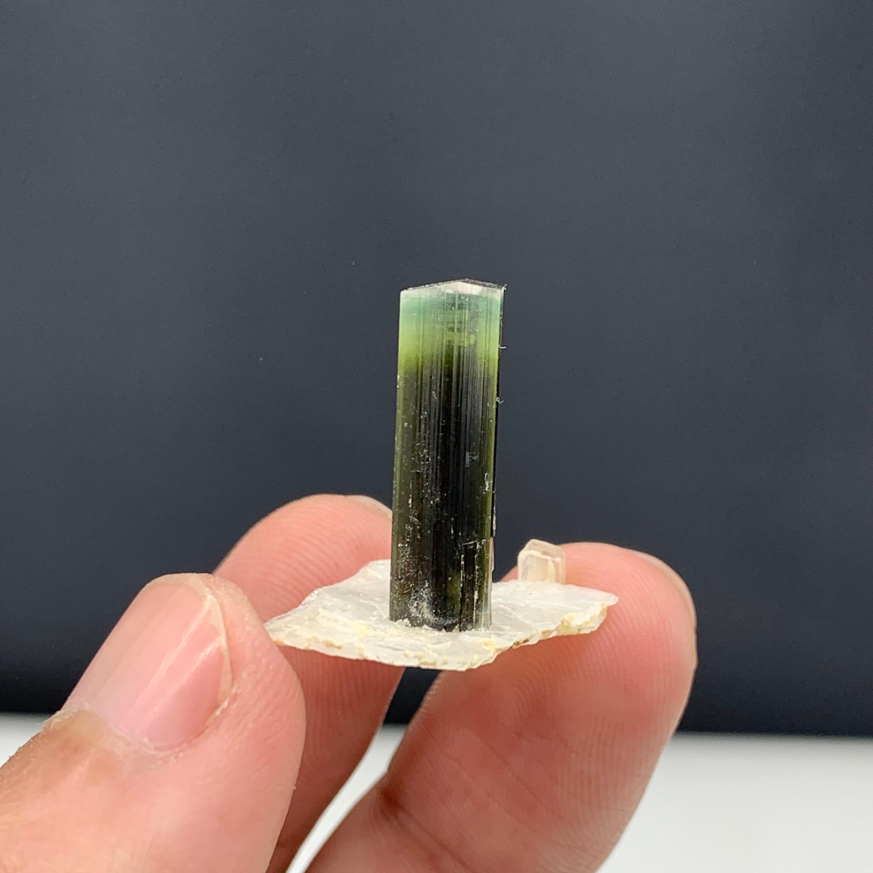 Cristal de roche 2.56 Grammes Elegant Tourmaline Crystal Attached With Albite From Pakistan  en vente