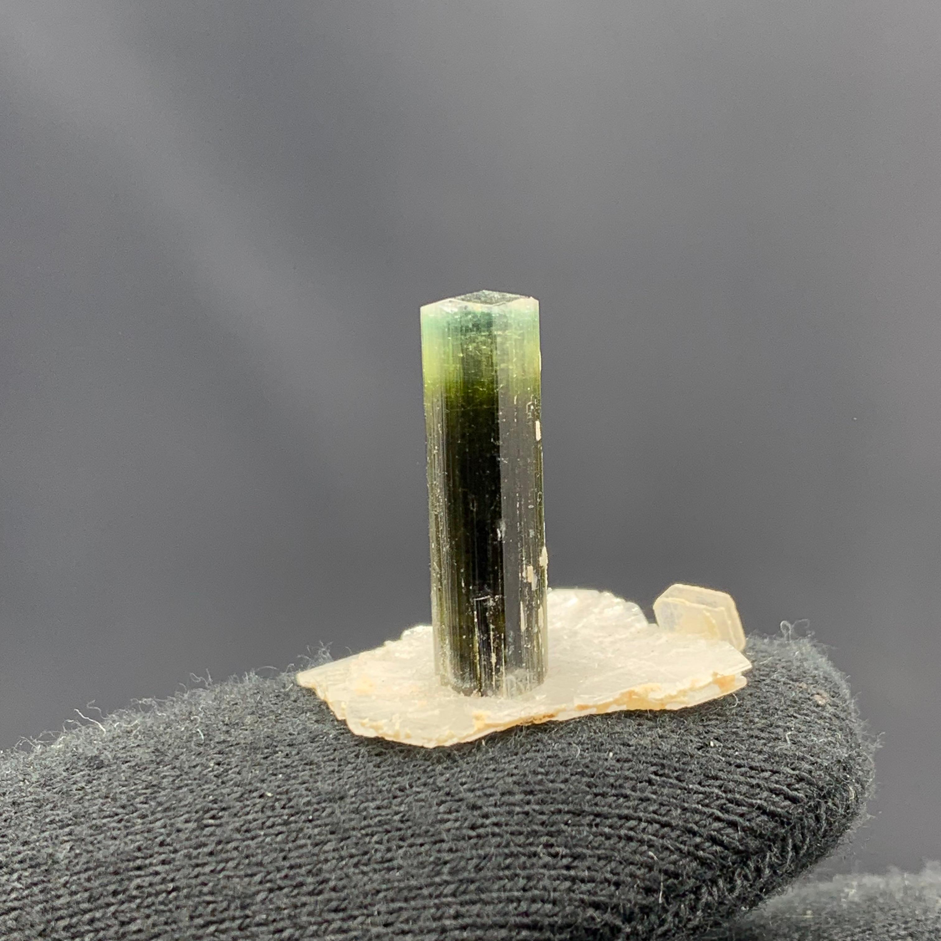 2.56 Grammes Elegant Tourmaline Crystal Attached With Albite From Pakistan  en vente 1