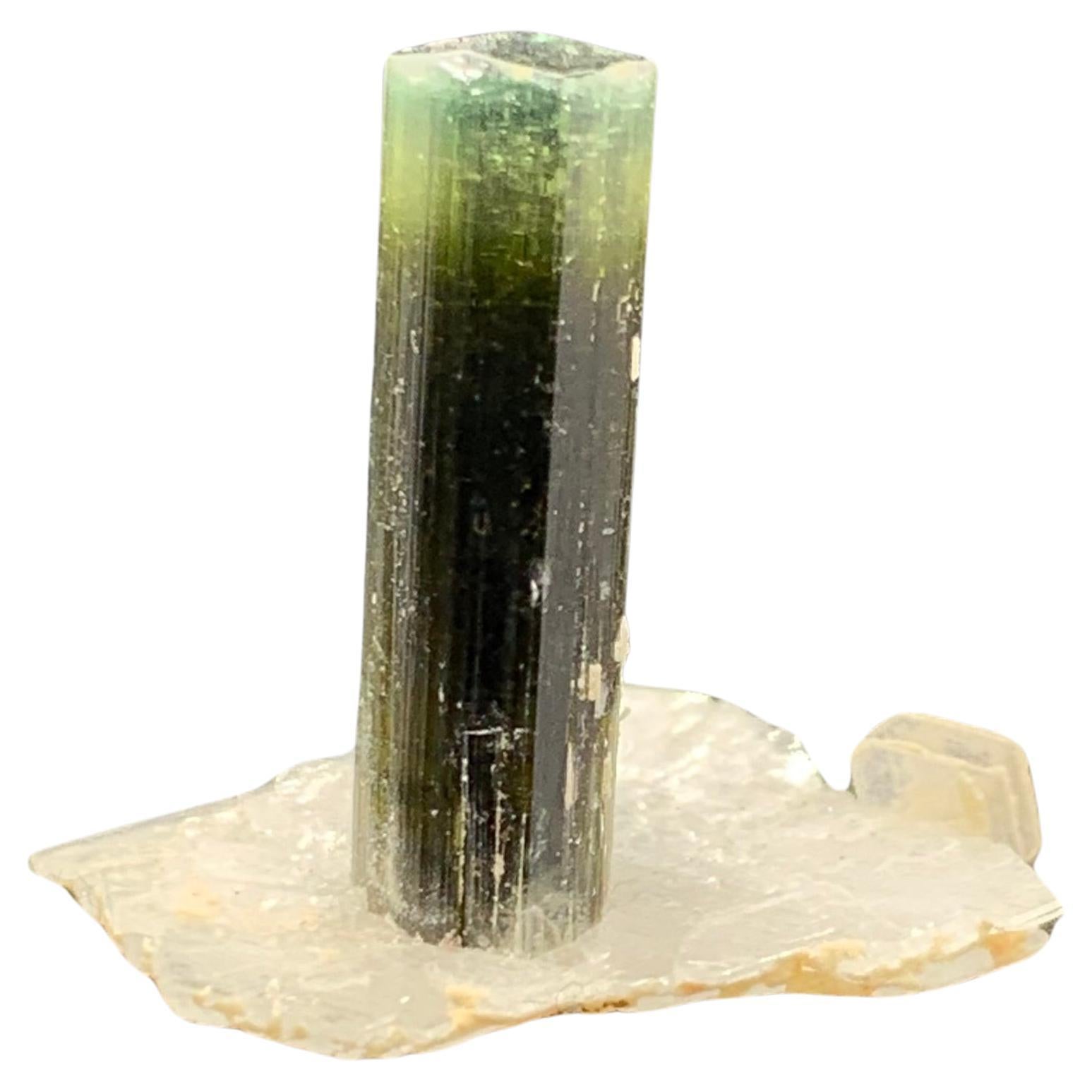 2.56 Grammes Elegant Tourmaline Crystal Attached With Albite From Pakistan  en vente