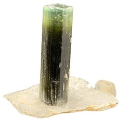 Antique 2.56 Gram Elegant Tourmaline Crystal Attached With Albite From Pakistan 