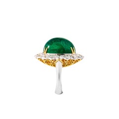 25.70 Carat Emerald Surrounded by GIA Certificated 4.97 Carat D Color Diamonds