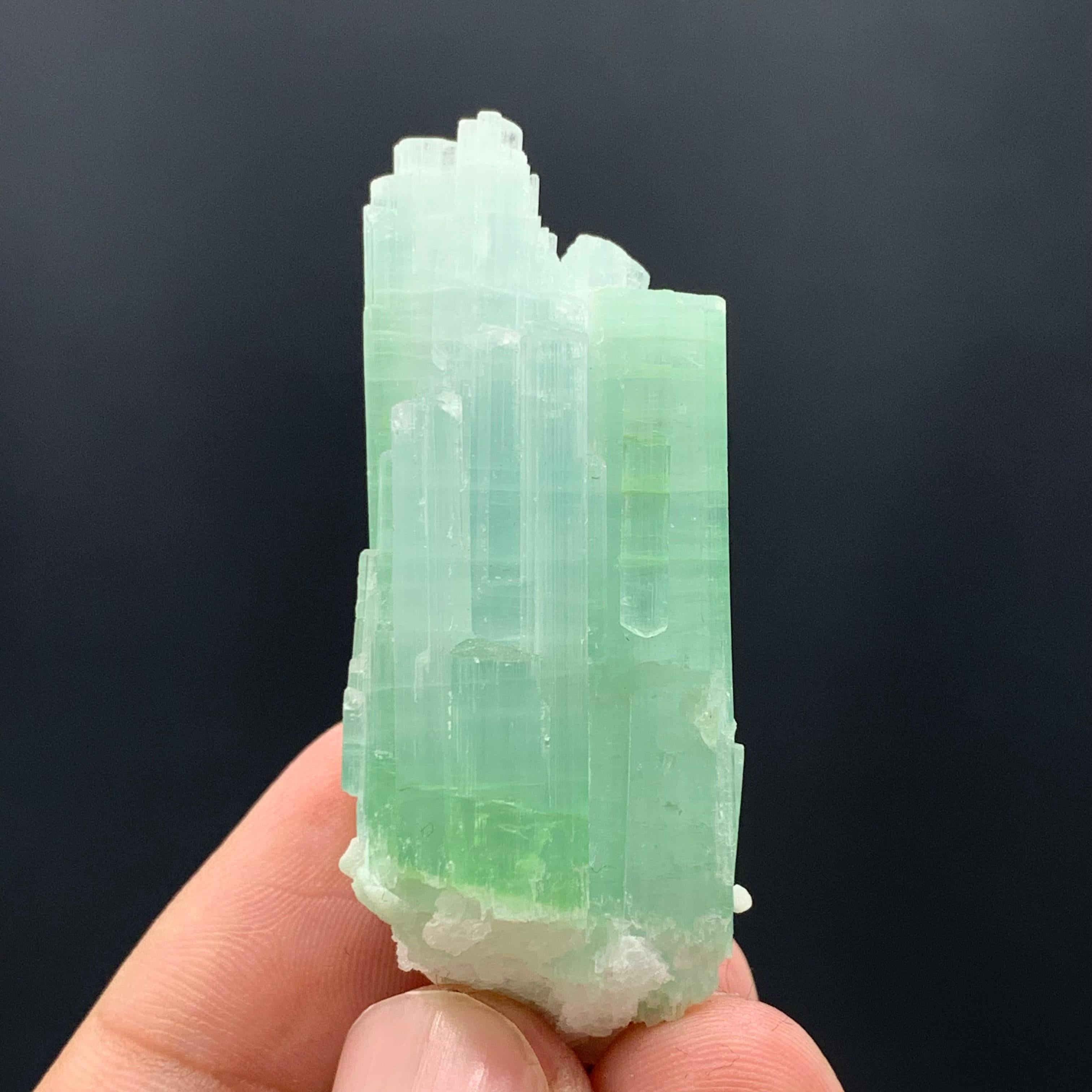 25.75 Gram Pretty Light Green Tourmaline Crystal Bunch from Kunar, Afghanistan  For Sale 2