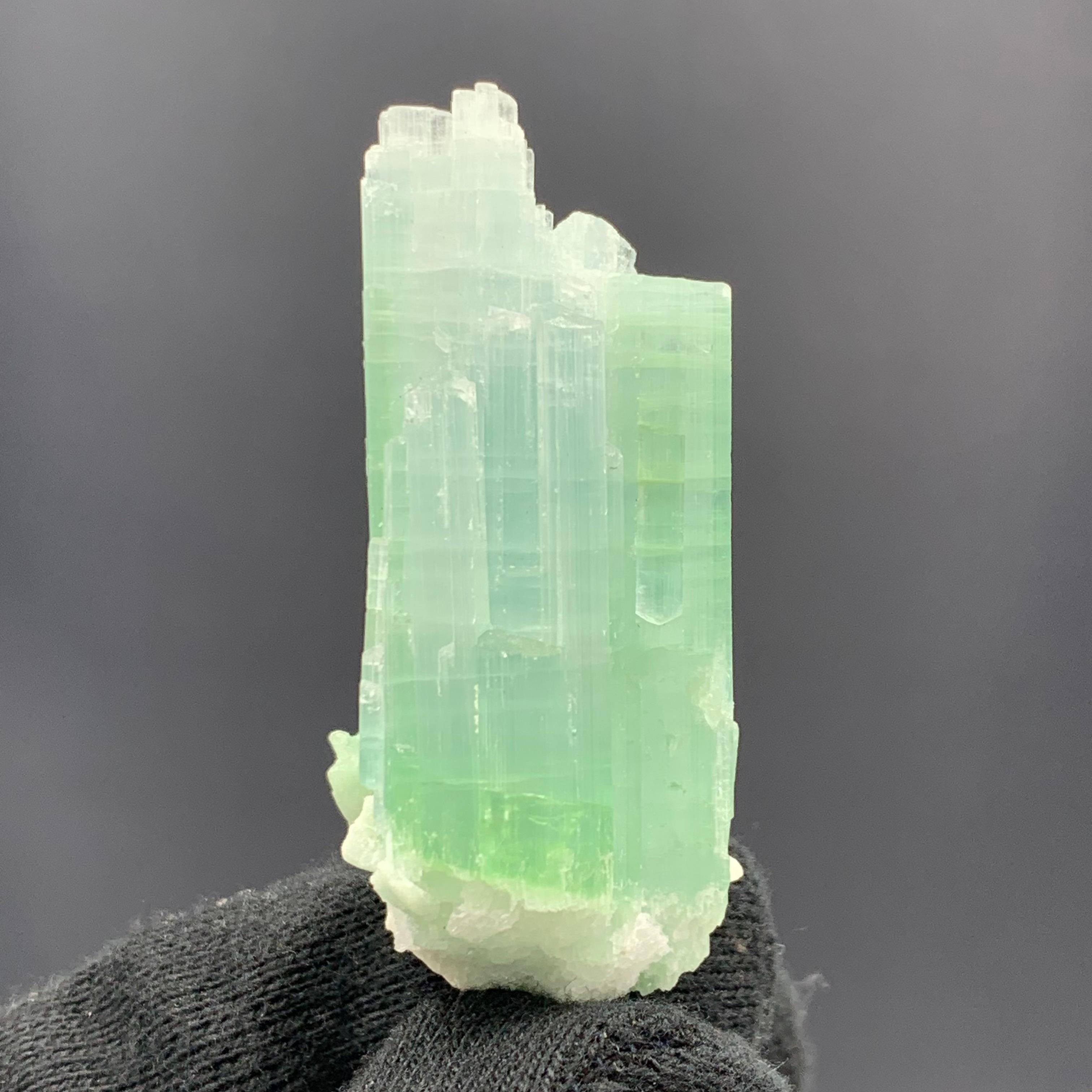 25.75 Gram Pretty Light Green Tourmaline Crystal Bunch from Kunar, Afghanistan 

Weight: 25.75 Gram 
Dimension: 5.5 x 2.4 x 1.5 Cm
Origin: Kunar, Afghanistan 

Tourmaline is a crystalline silicate mineral group in which boron is compounded with