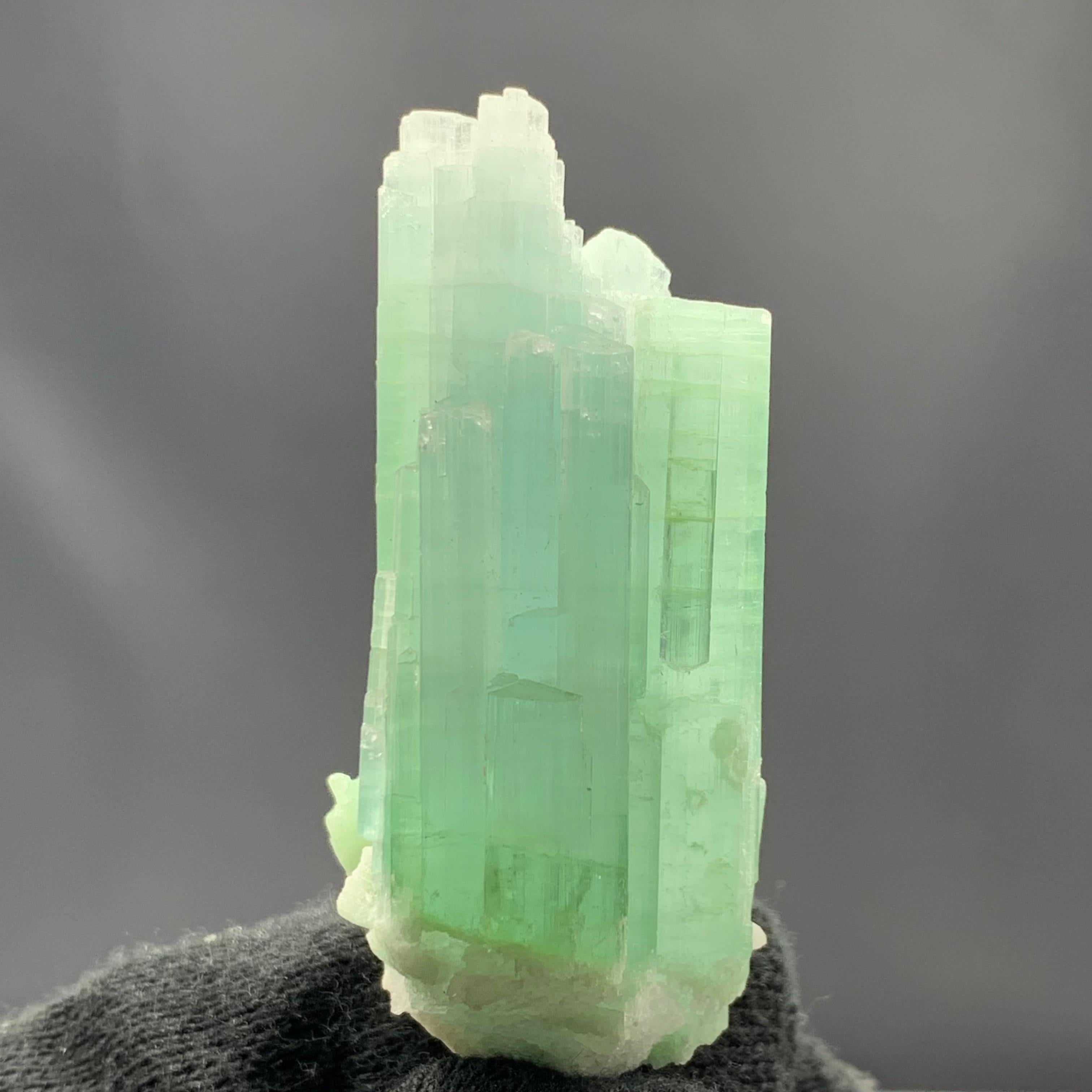 Adam Style 25.75 Gram Pretty Light Green Tourmaline Crystal Bunch from Kunar, Afghanistan  For Sale
