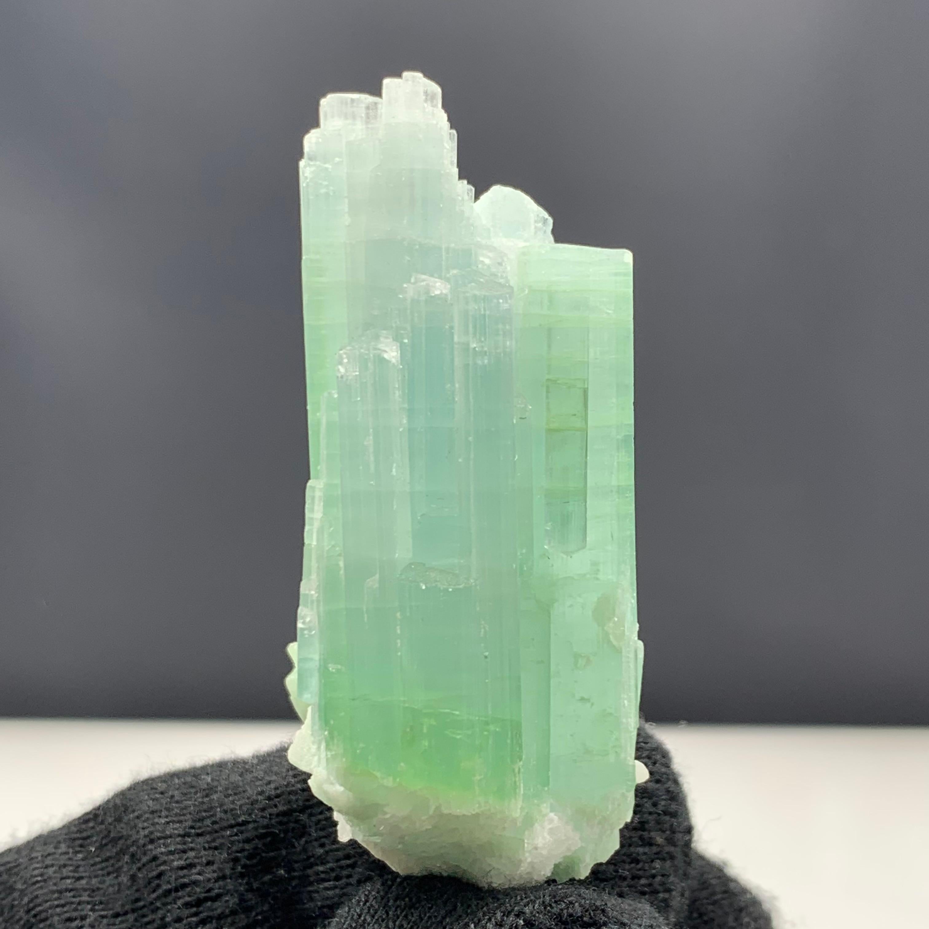 Pakistani 25.75 Gram Pretty Light Green Tourmaline Crystal Bunch from Kunar, Afghanistan  For Sale