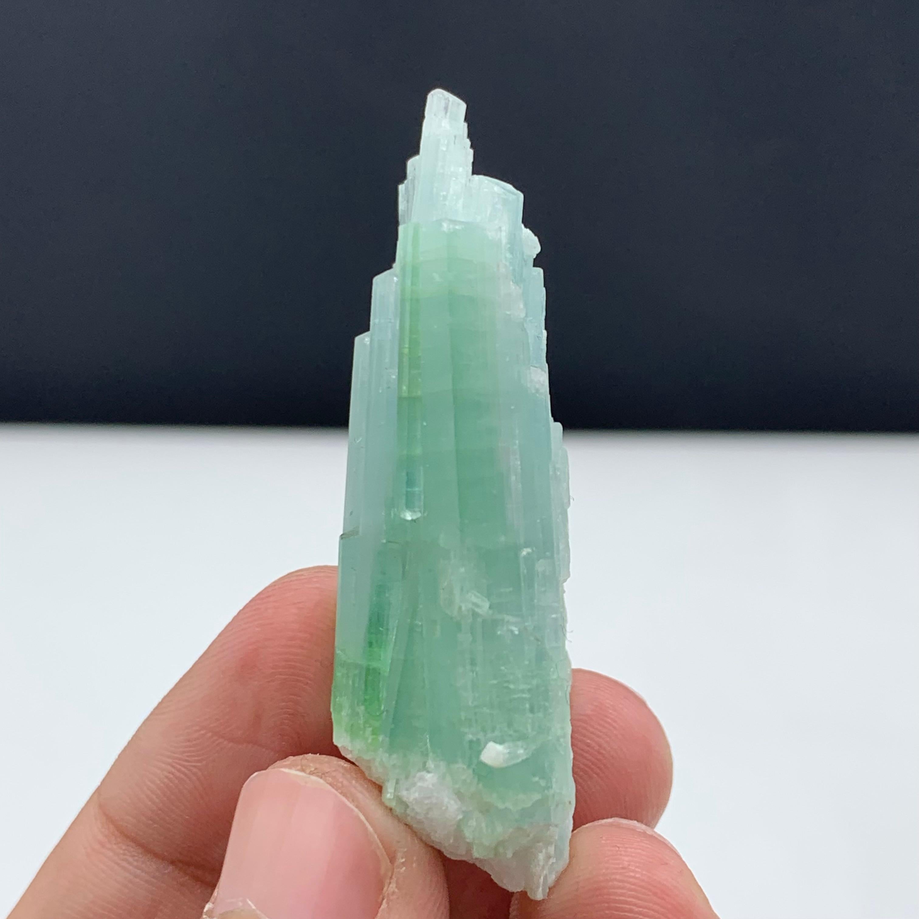 25.75 Gram Pretty Light Green Tourmaline Crystal Bunch from Kunar, Afghanistan  For Sale 1