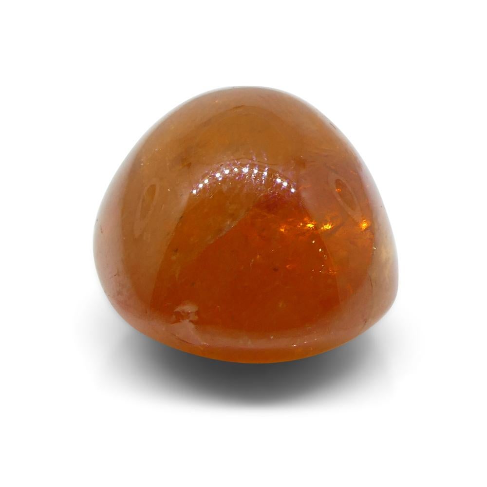 25.87ct Oval Cabochon Orange Mandarin Spessartine Garnet from Nigeria For Sale 5
