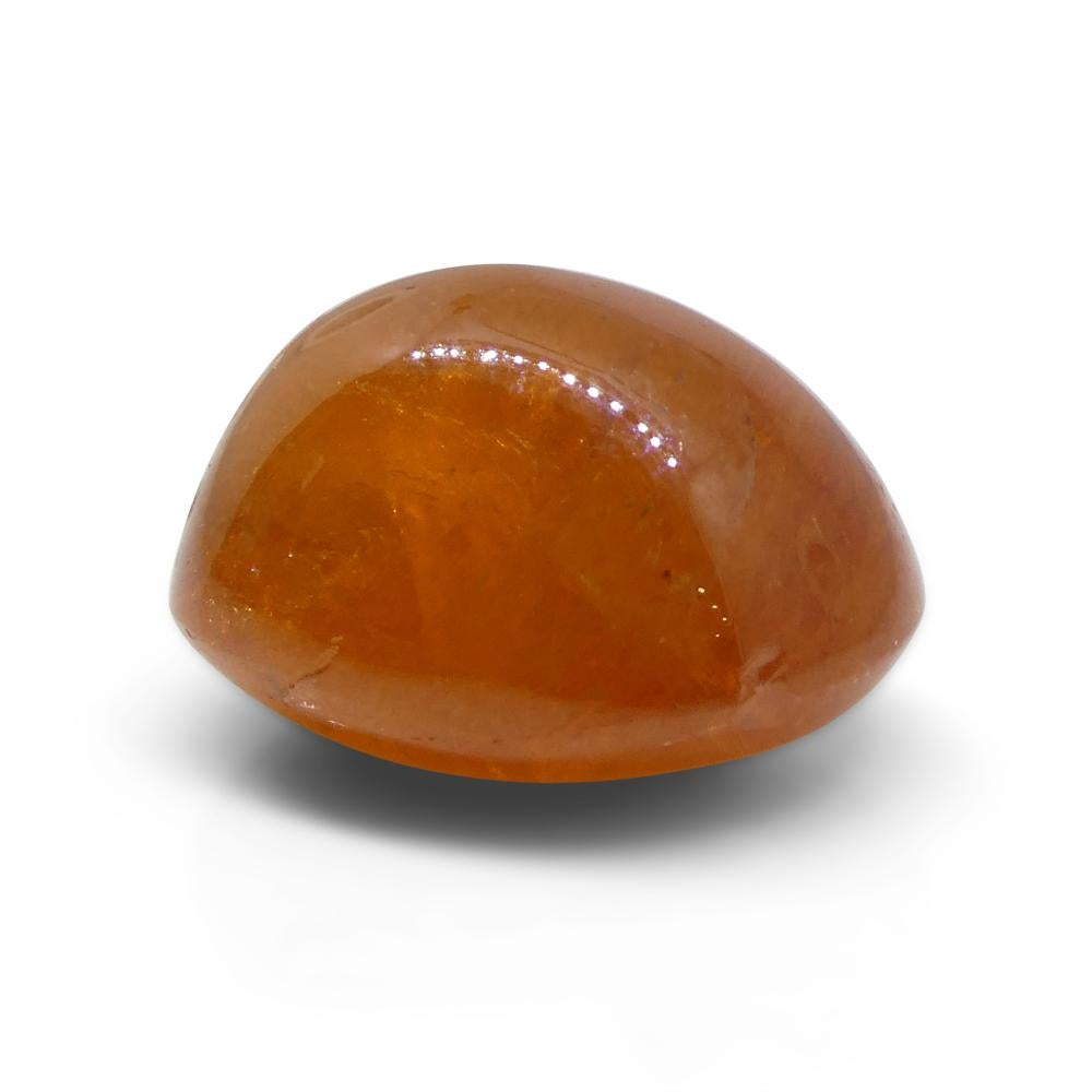 25.87ct Oval Cabochon Orange Mandarin Spessartine Garnet from Nigeria For Sale 6