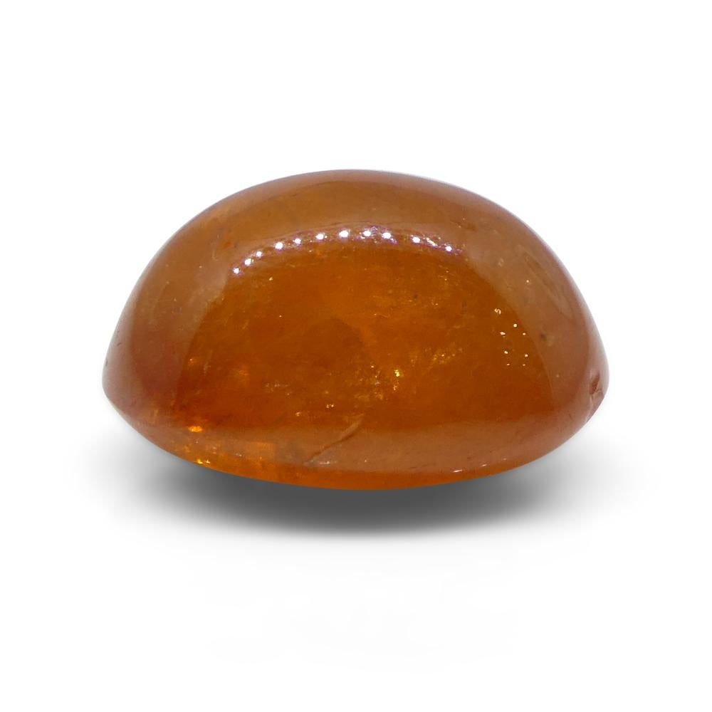 25.87ct Oval Cabochon Orange Mandarin Spessartine Garnet from Nigeria For Sale 7