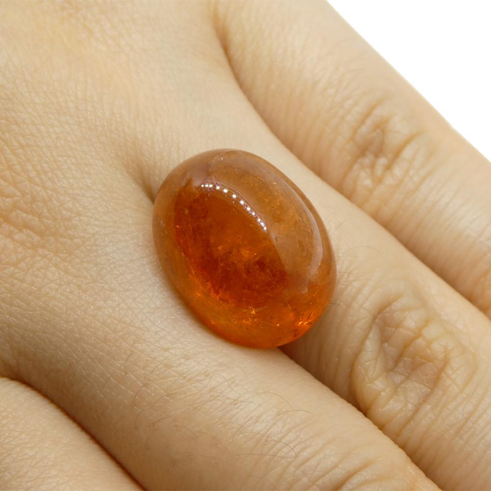 Description:

Gem Type: Spessartine Garnet
Number of Stones: 1
Weight: 25.87 cts
Measurements: 17.37 x 13.21 x 10.58 mm
Shape: Oval Cabochon
Cutting Style Crown:
Cutting Style Pavilion:
Transparency: Semi-Transparent
Clarity: Moderately Included: