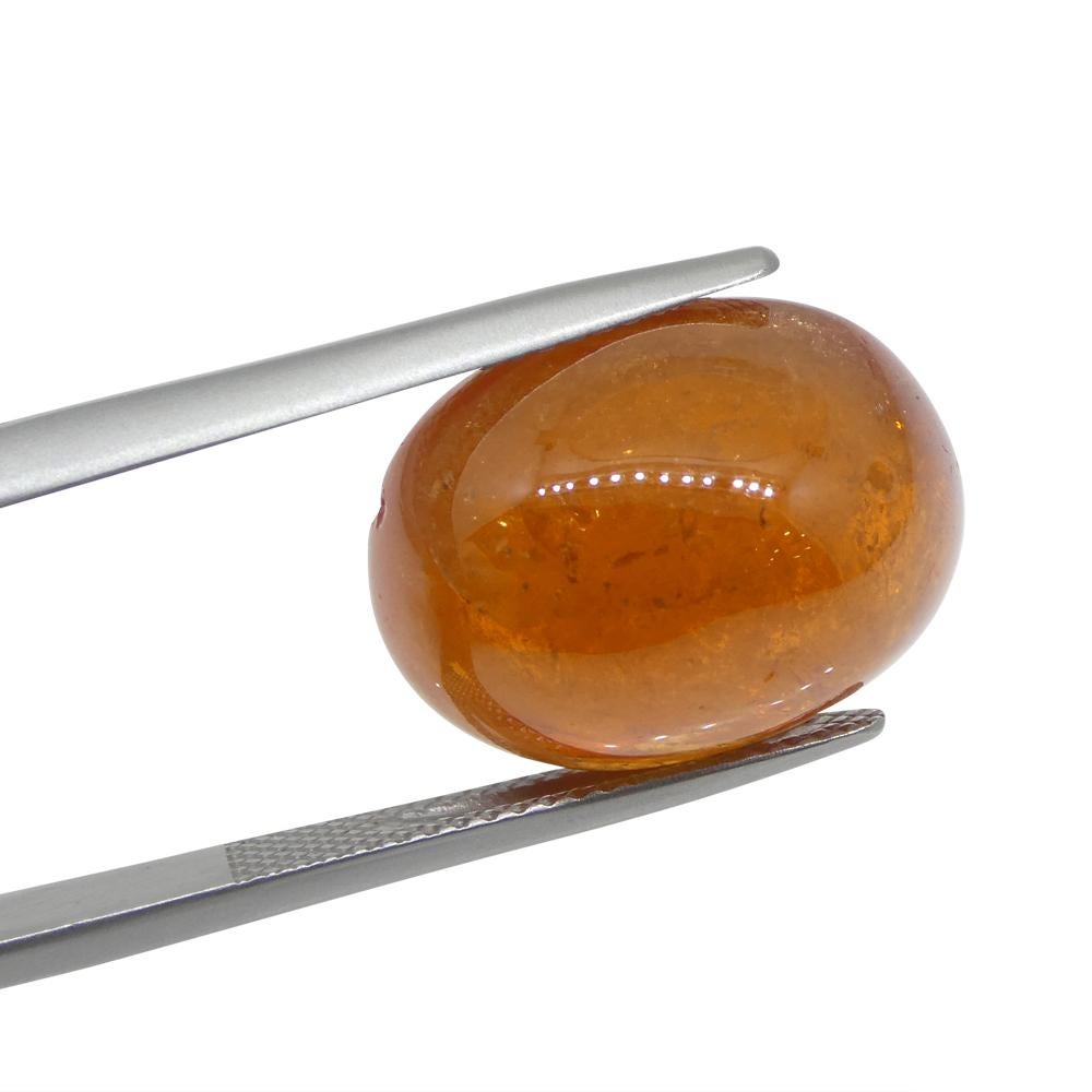 25.87ct Oval Cabochon Orange Mandarin Spessartine Garnet from Nigeria For Sale 1
