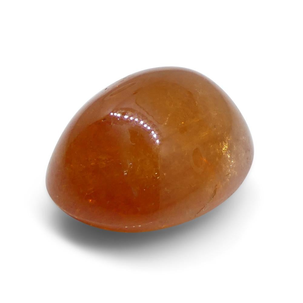 25.87ct Oval Cabochon Orange Mandarin Spessartine Garnet from Nigeria For Sale 3