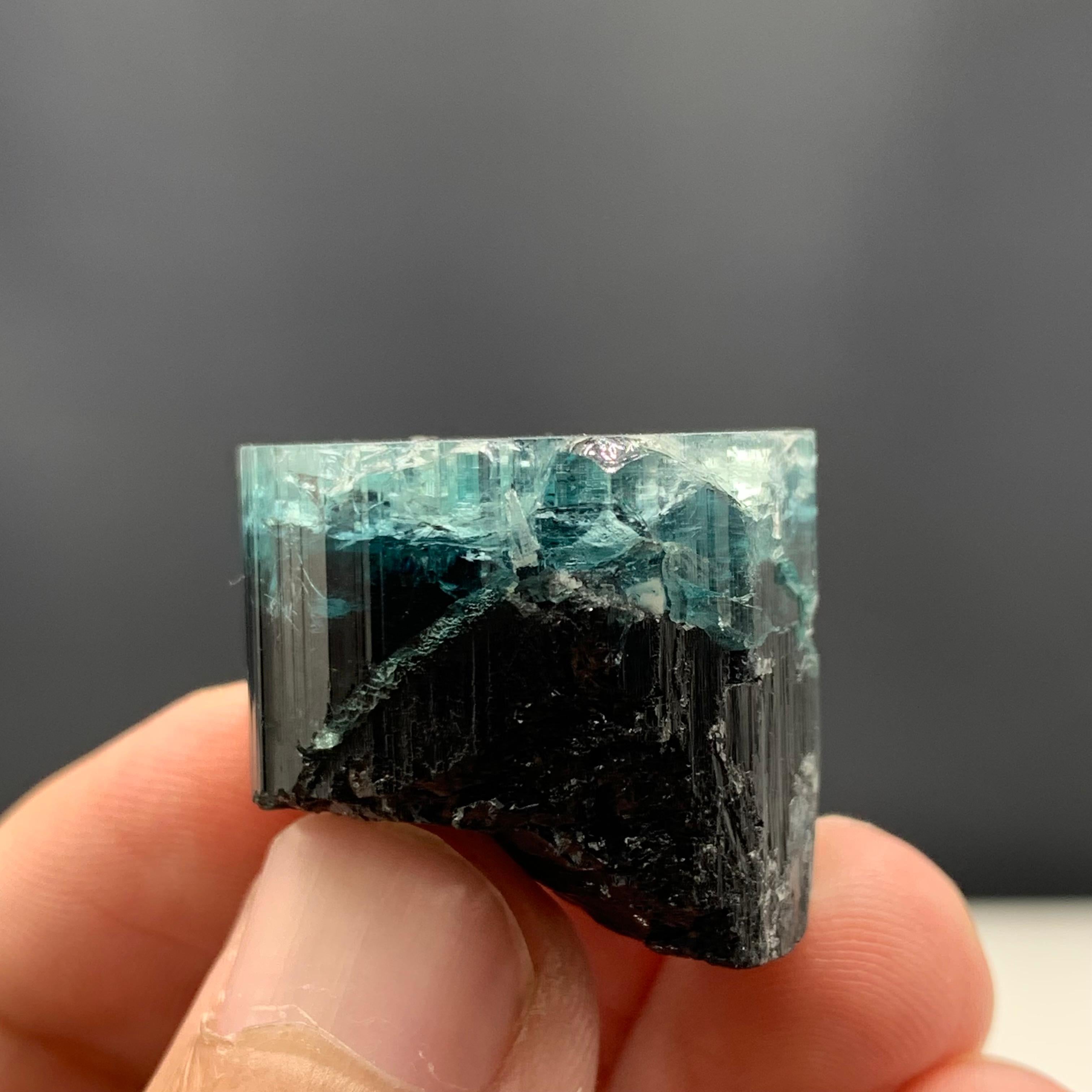 25.91 Gram Amazing Bi Color Tourmaline Crystal From Kunar, Afghanistan  For Sale 3