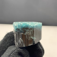25,91 Gramm Erstaunlicher mehrfarbiger Turmalinkristall aus Kunar, Afghanistan