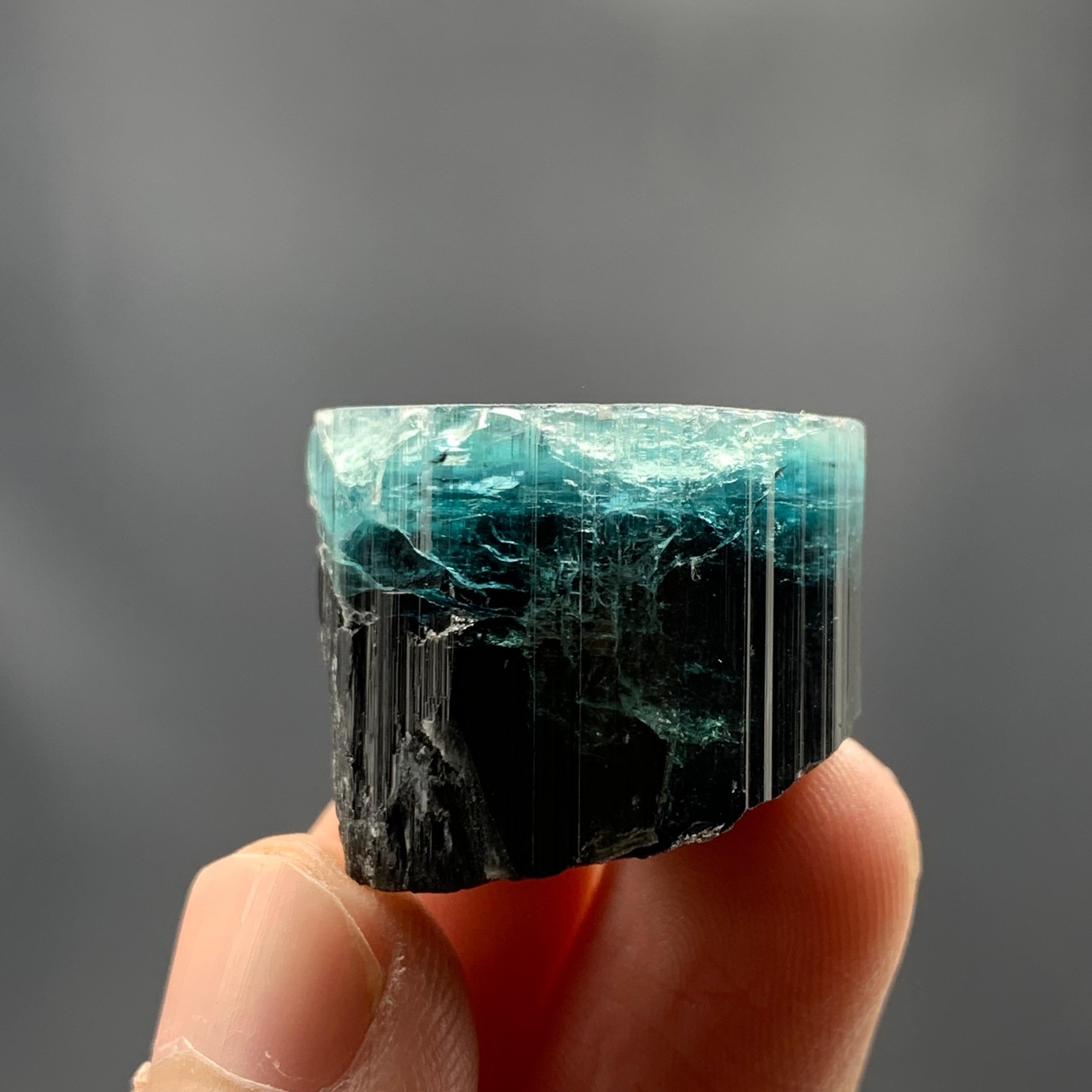 Rock Crystal 25.91 Gram Amazing Bi Color Tourmaline Crystal From Kunar, Afghanistan  For Sale
