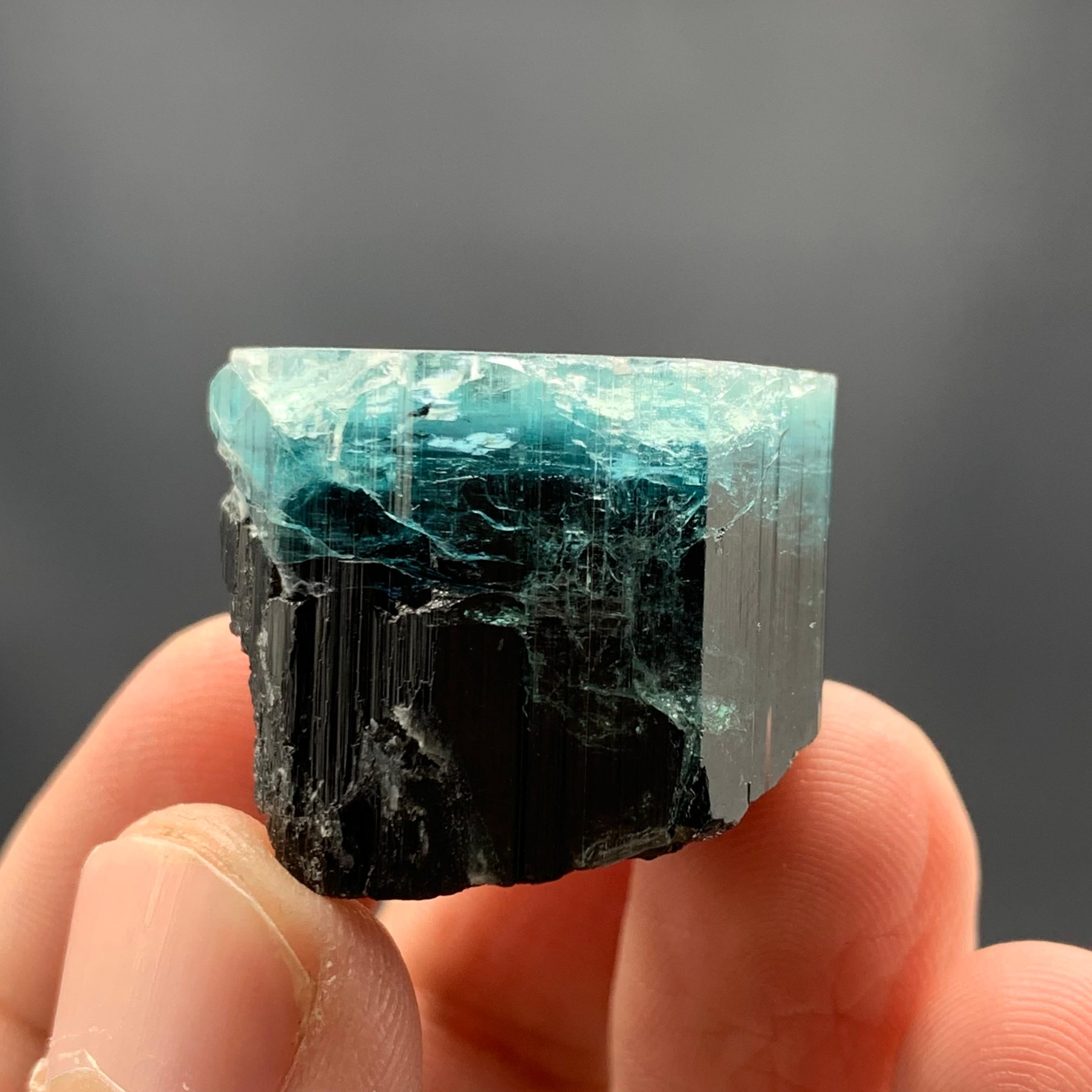 25.91 Gram Amazing Bi Color Tourmaline Crystal From Kunar, Afghanistan  For Sale 1