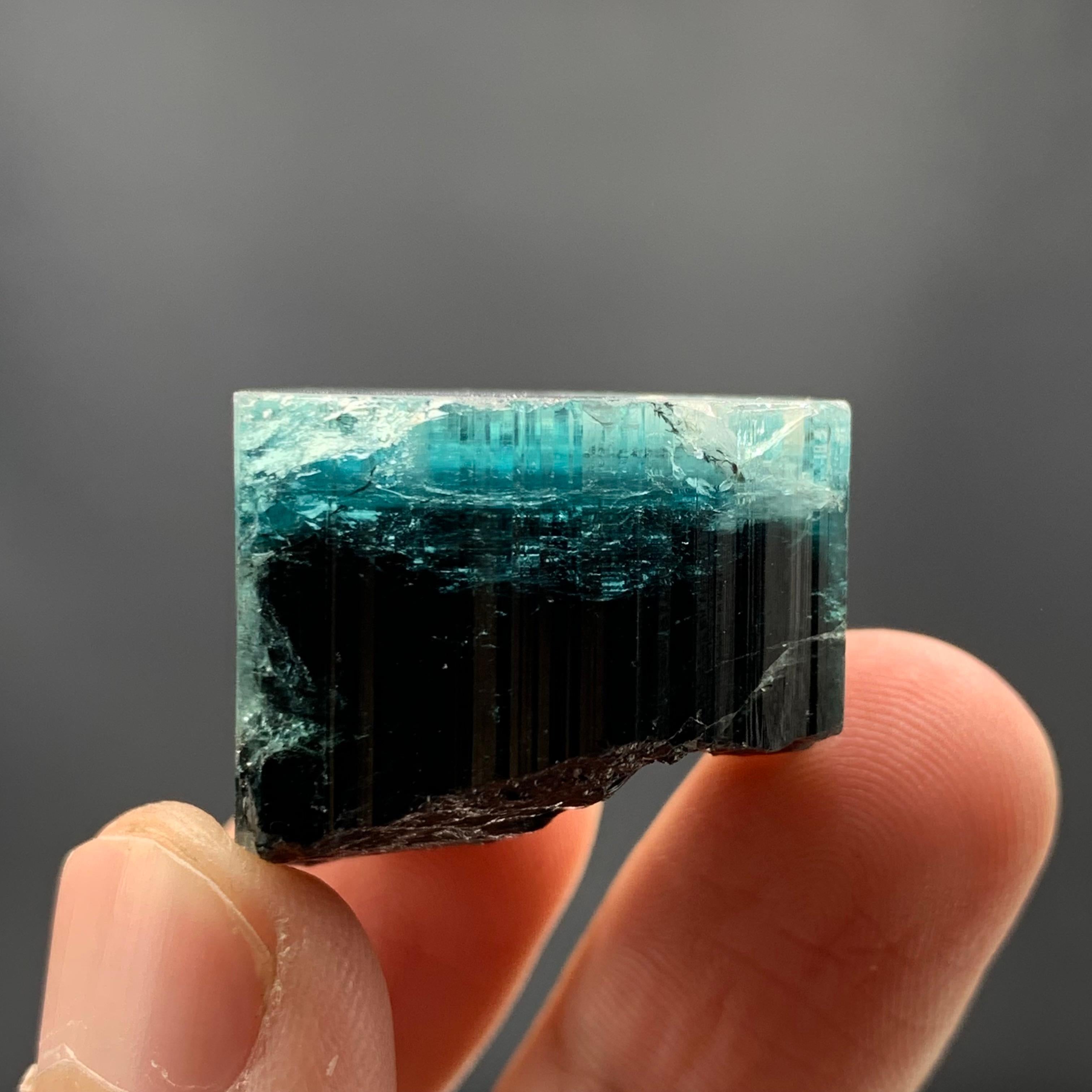 25.91 Gram Amazing Bi Color Tourmaline Crystal From Kunar, Afghanistan  For Sale 2