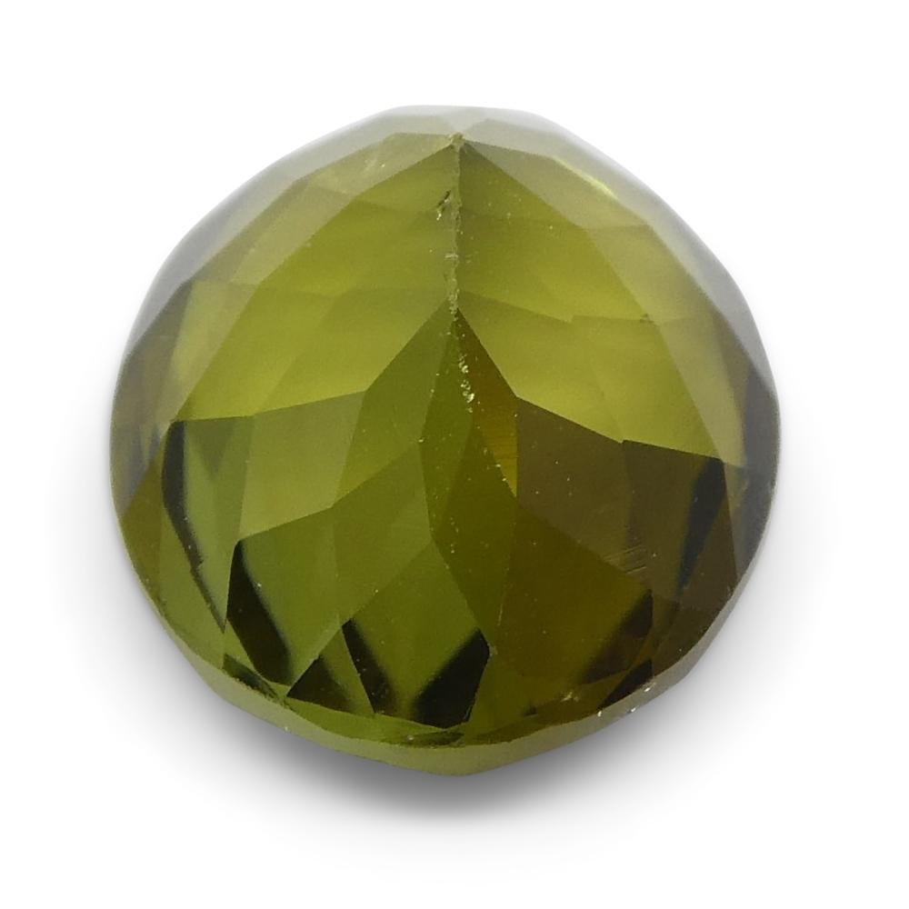 2.5 Karat ovaler olivgrüner, olivgrüner Turmalin 4
