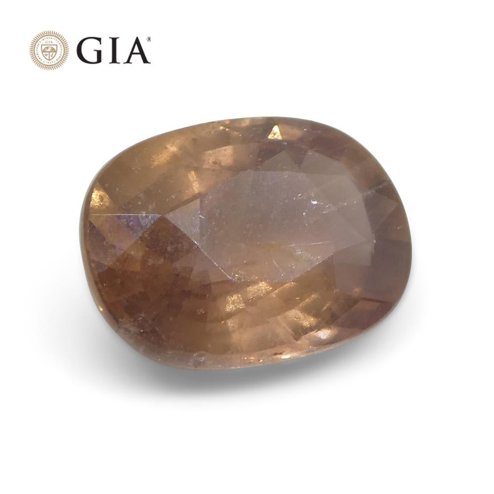2.5ct Oval Opalescent Brownish Pink Sapphire GIA Certified East Africa Unheated For Sale 8