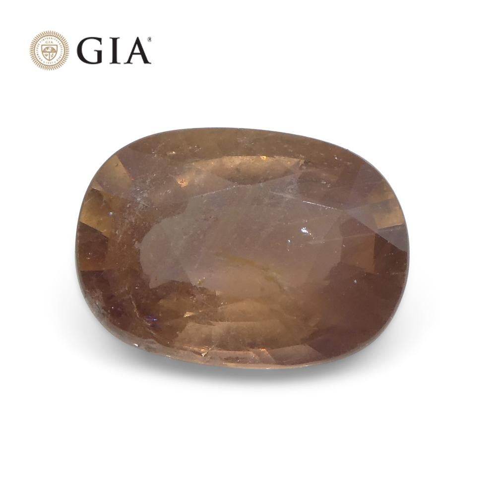 2.5ct Oval Opalescent Brownish Pink Sapphire GIA Certified East Africa Unheated For Sale 10